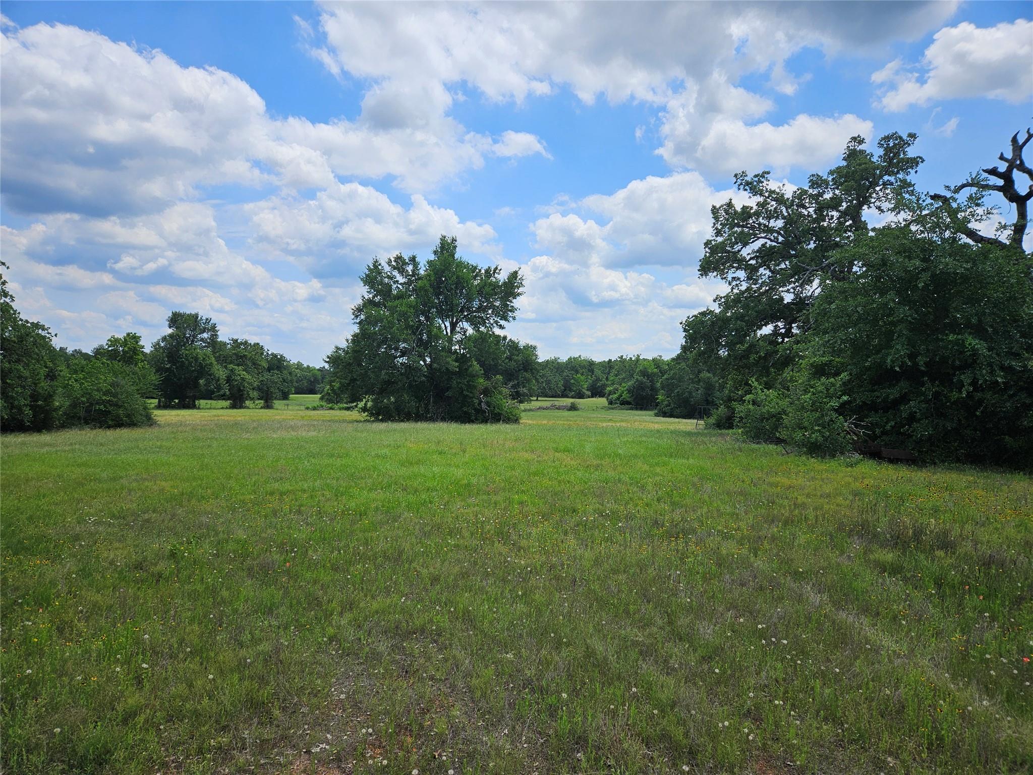 Unimproved Land