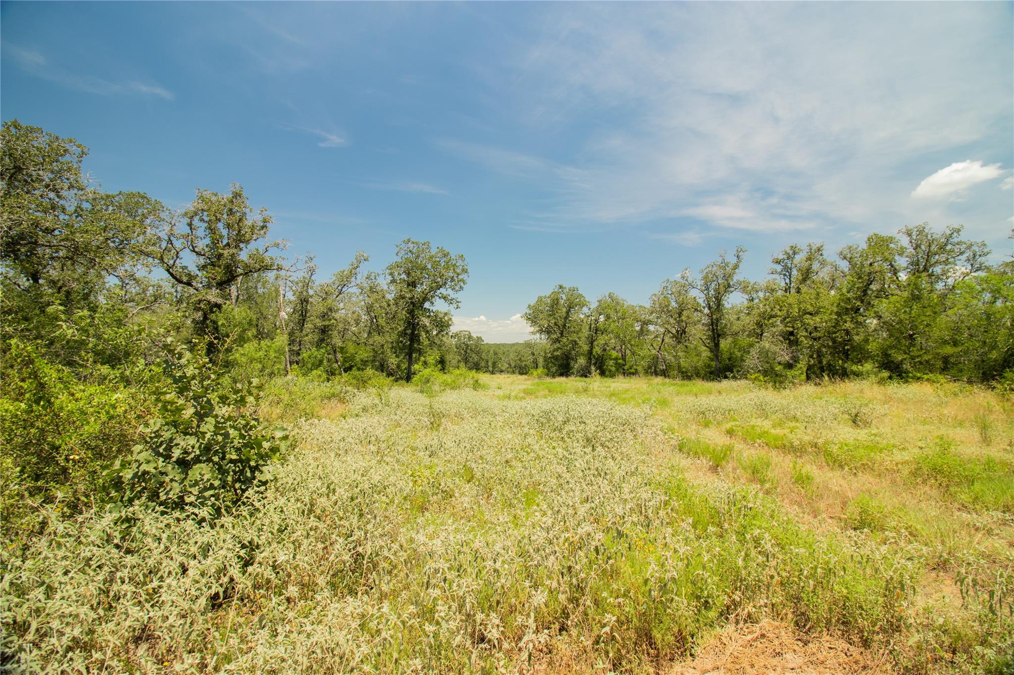 2564 Bluestem Crest