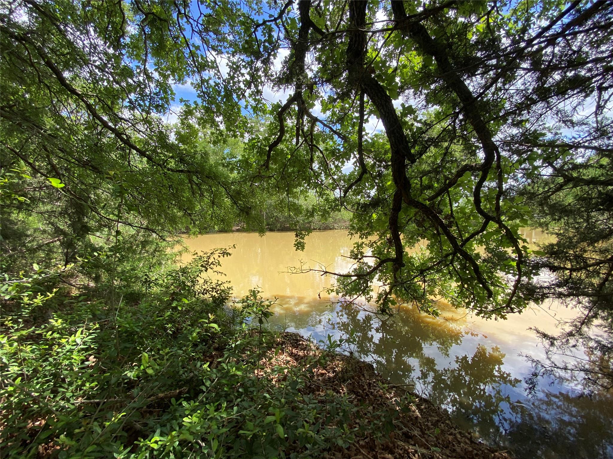 Unimproved Land