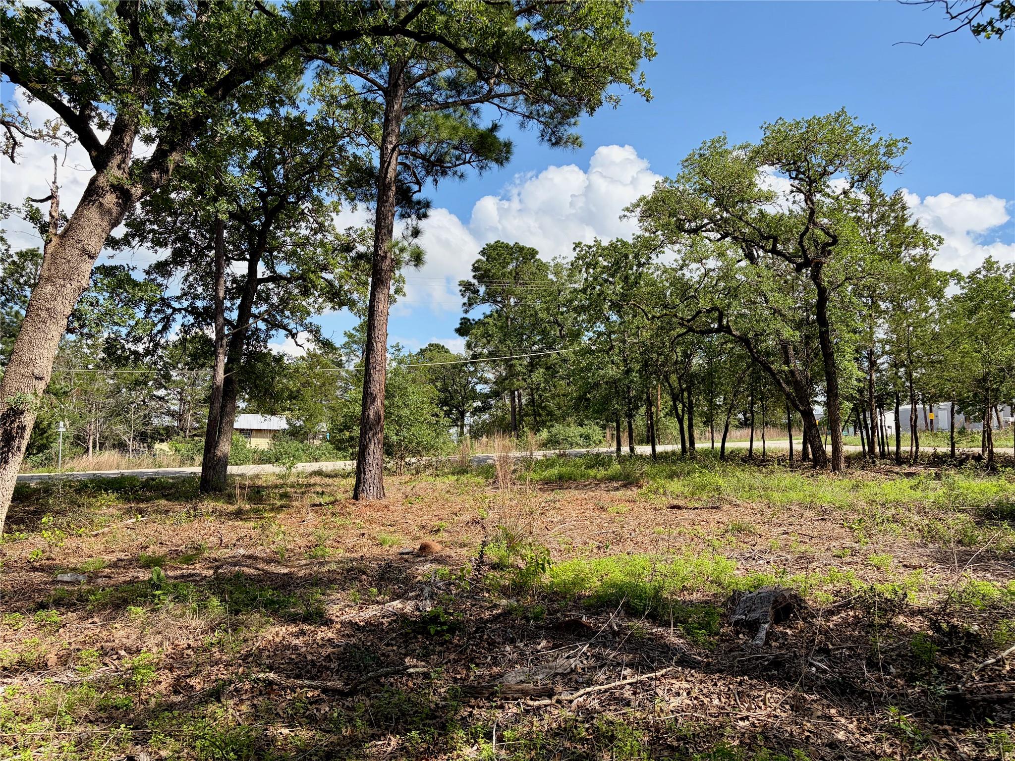 Multiple Lots (Adjacent)