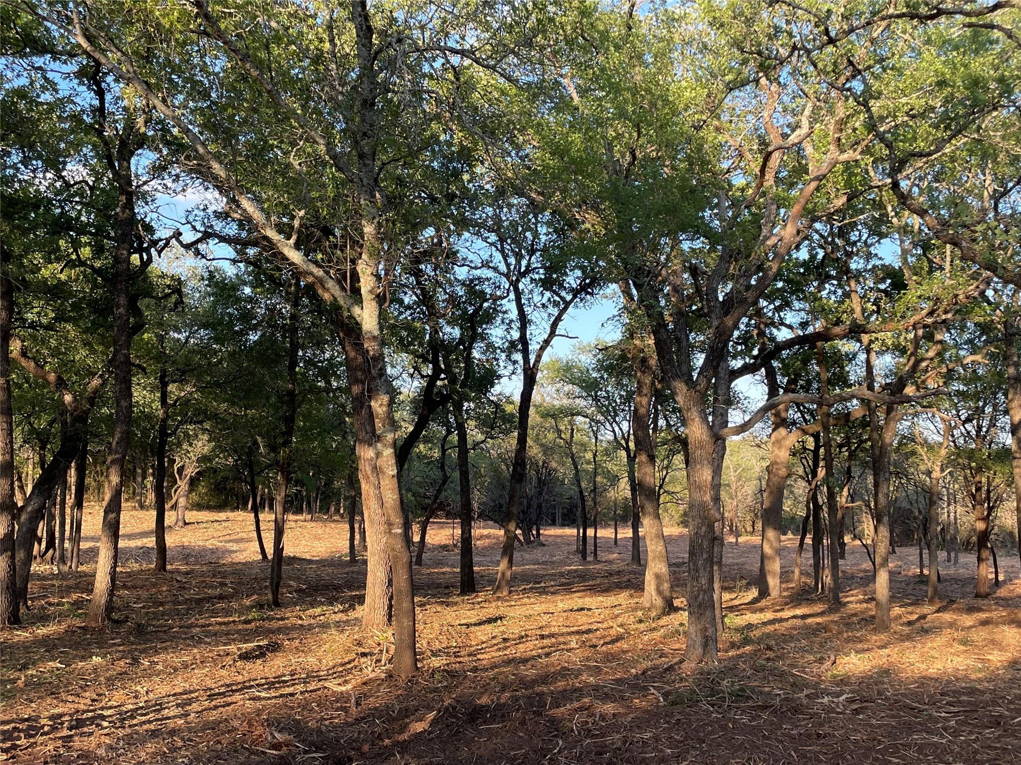 Unimproved Land