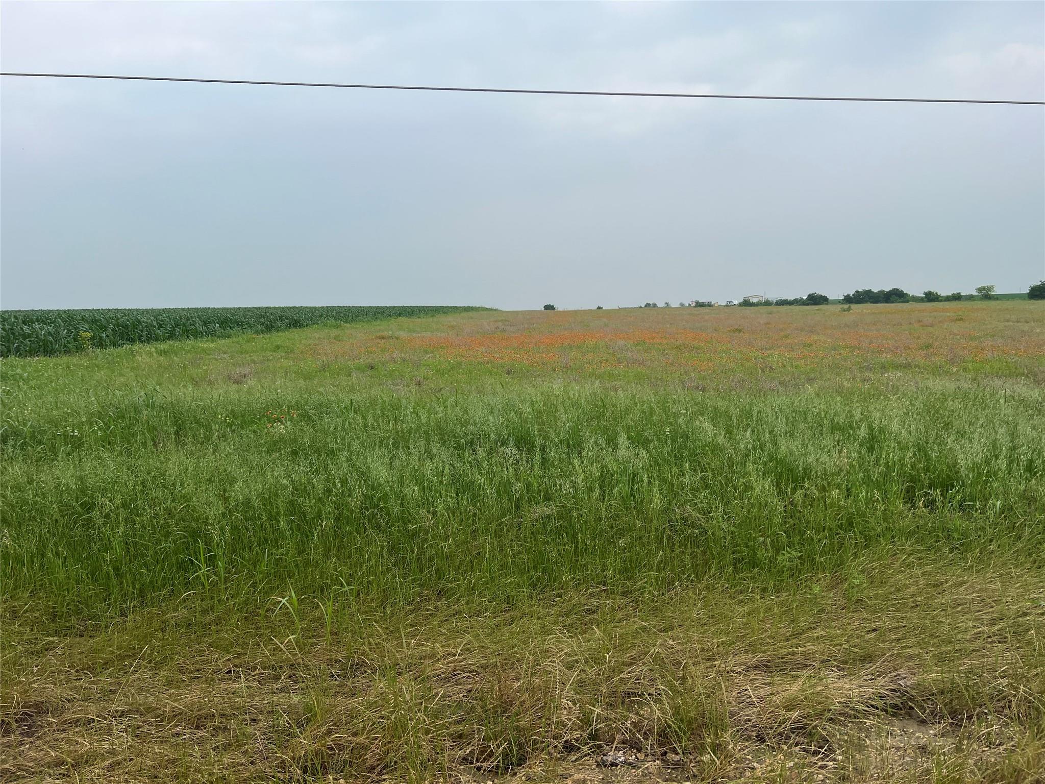 Unimproved Land