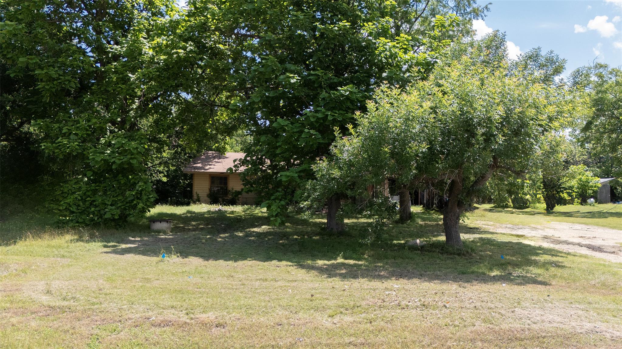Photo 29