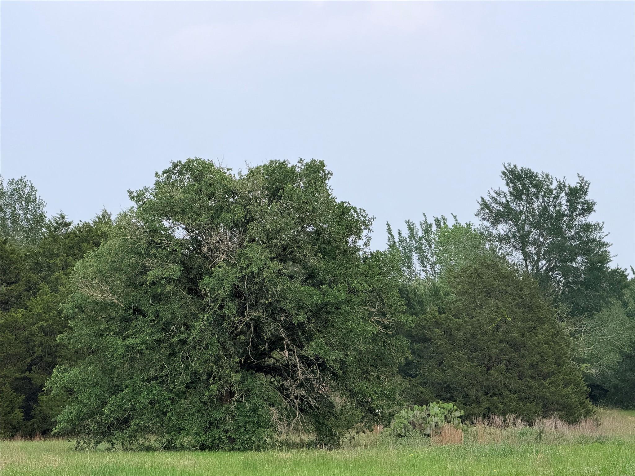Photo 32