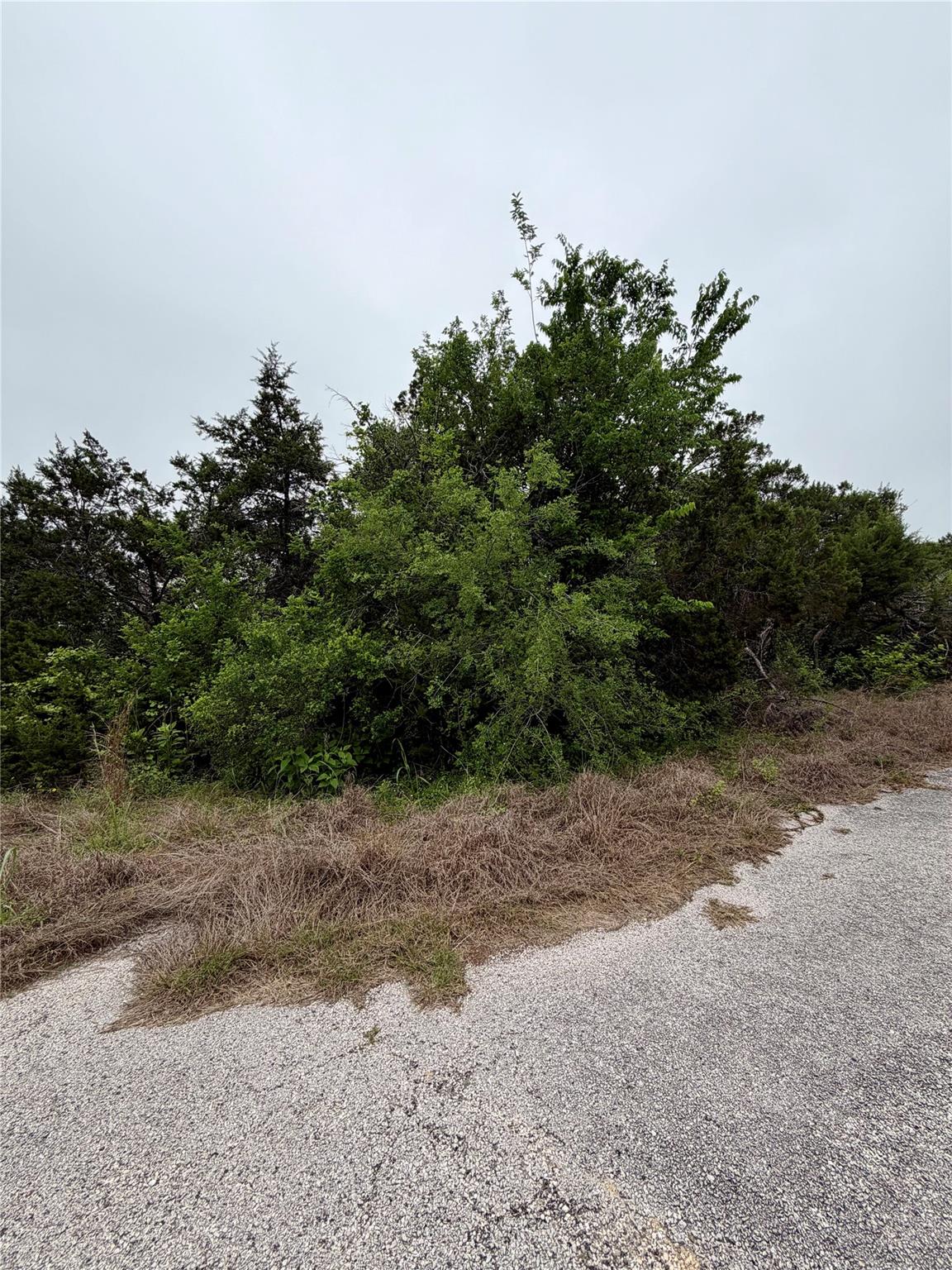 Unimproved Land