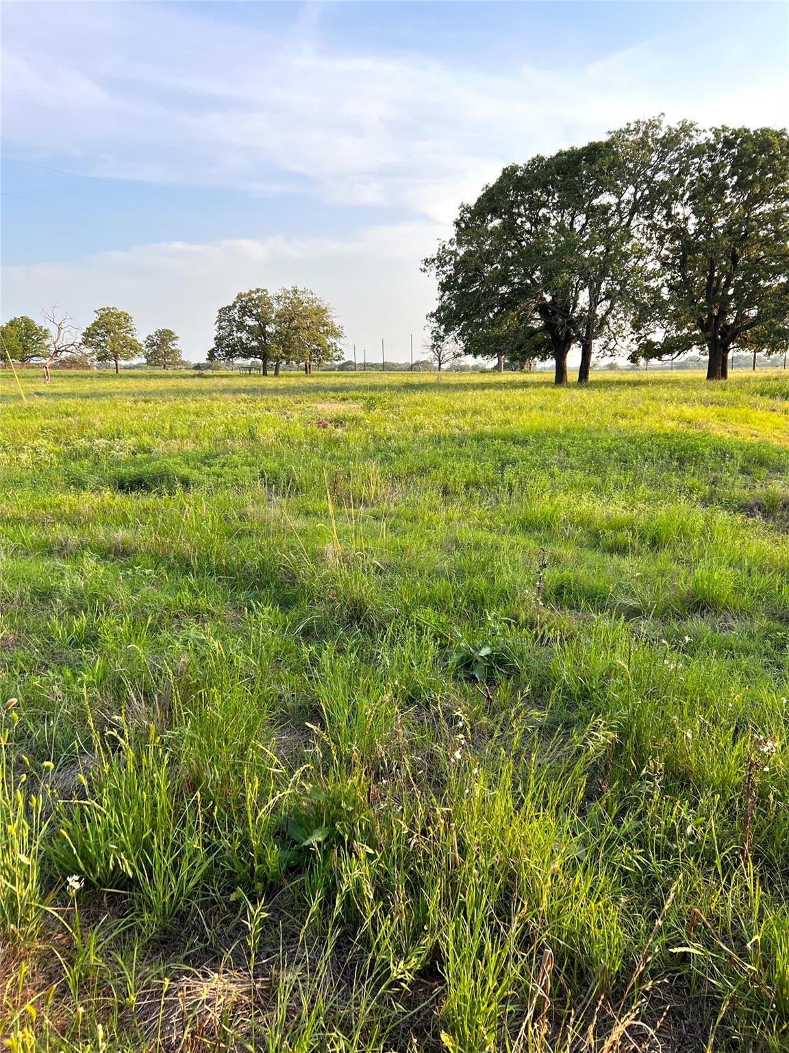 Unimproved Land