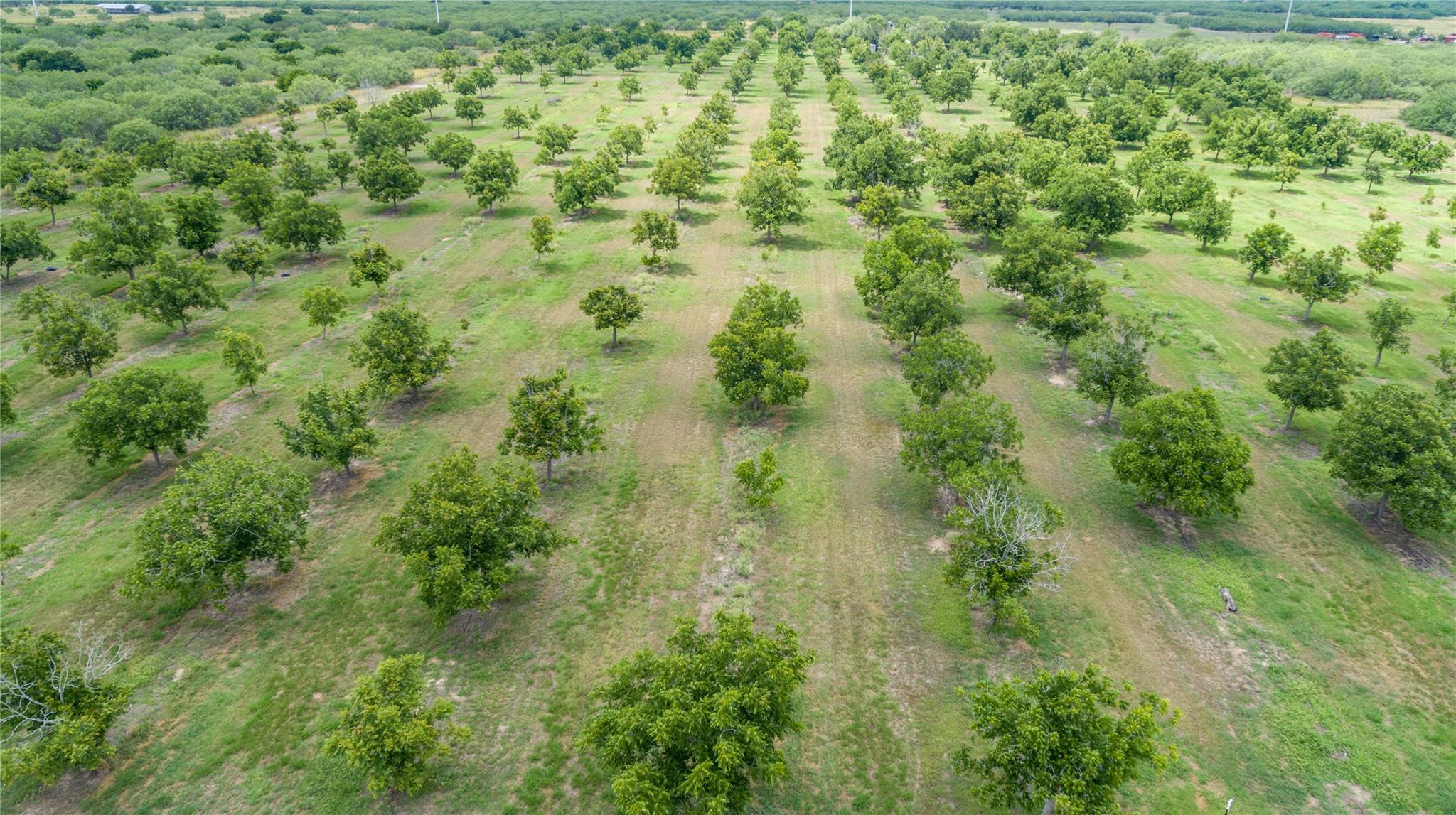 Ranch