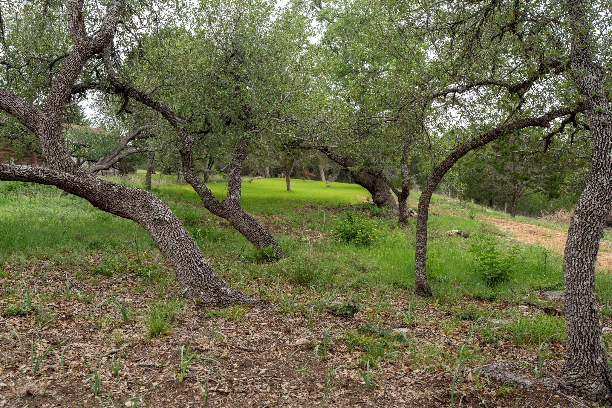 Photo 32
