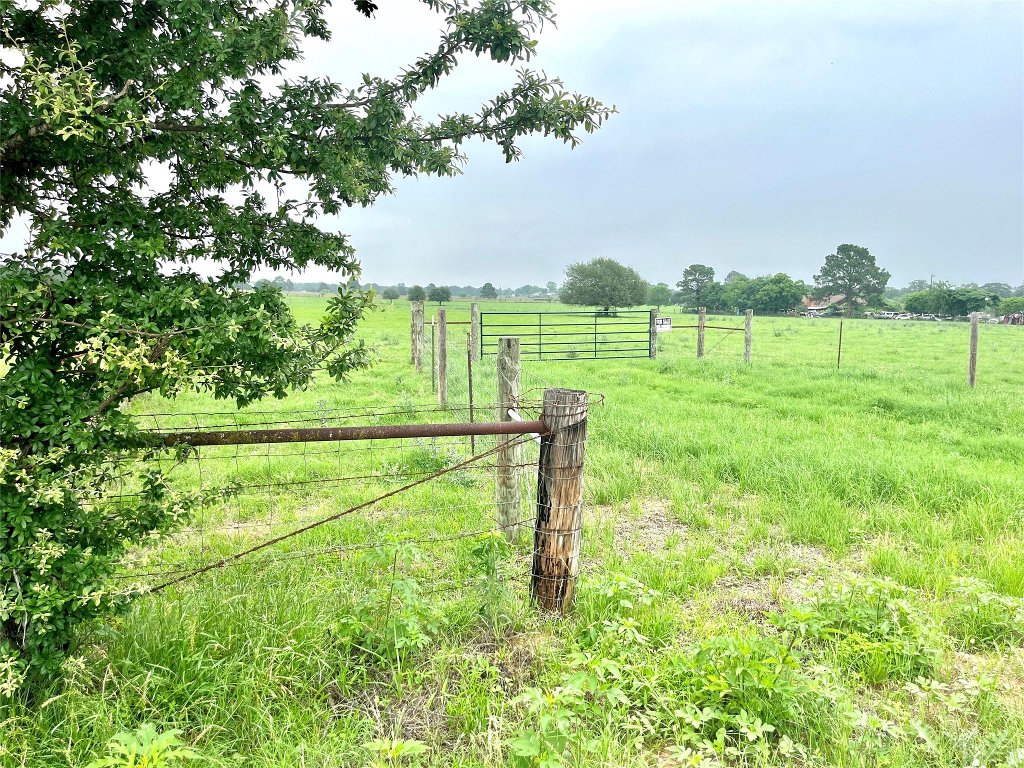5.556 acres Farris Lane