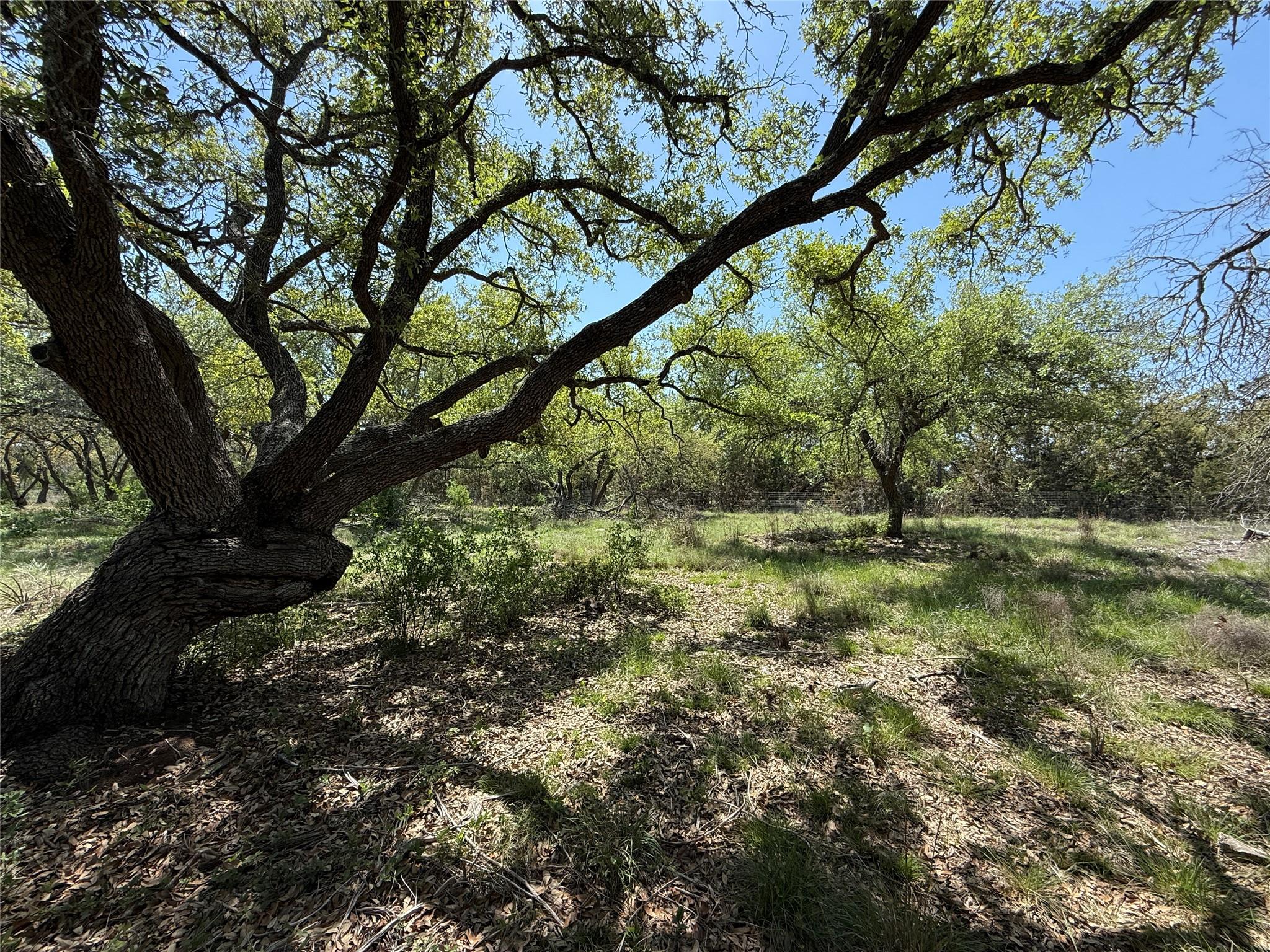 Unimproved Land