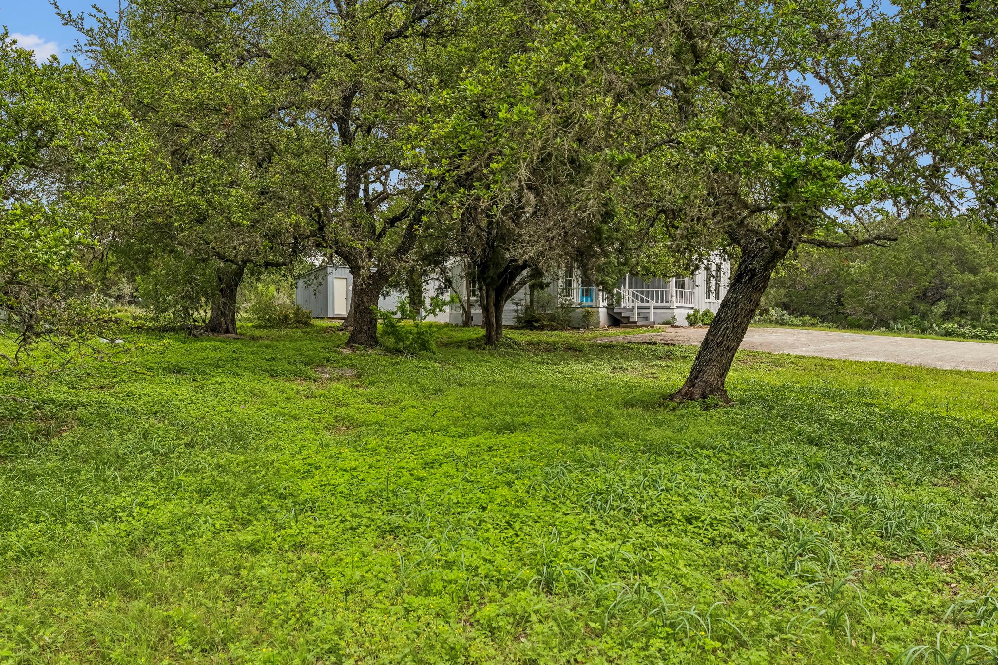 Photo 25