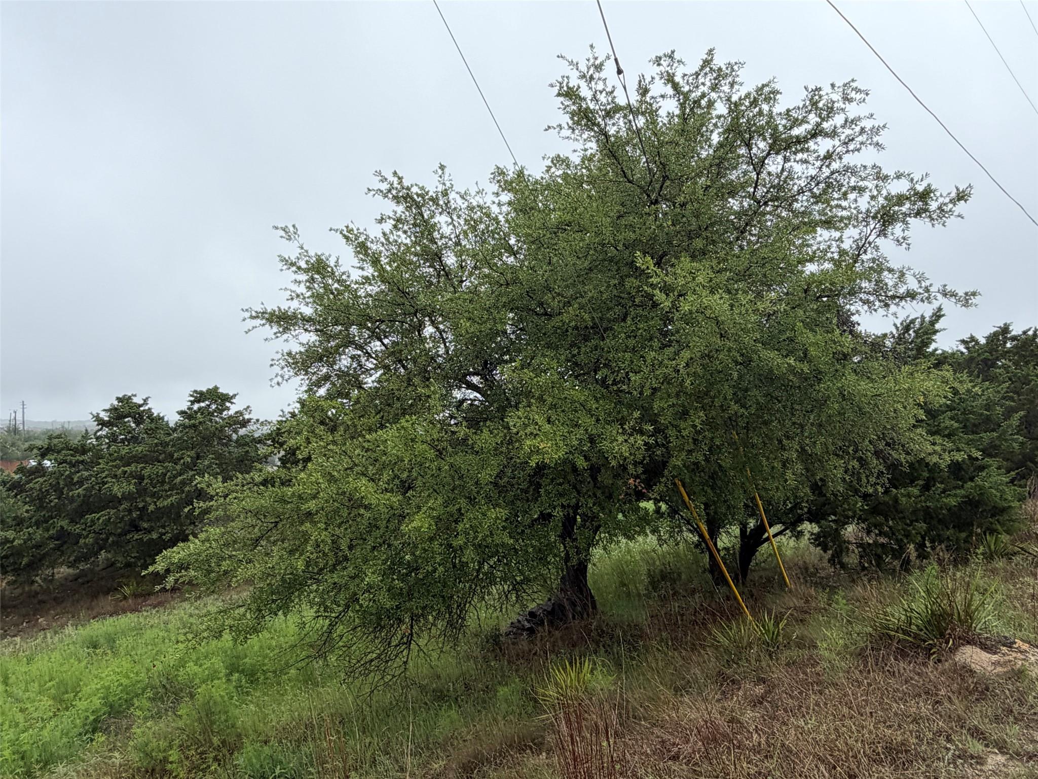 Unimproved Land