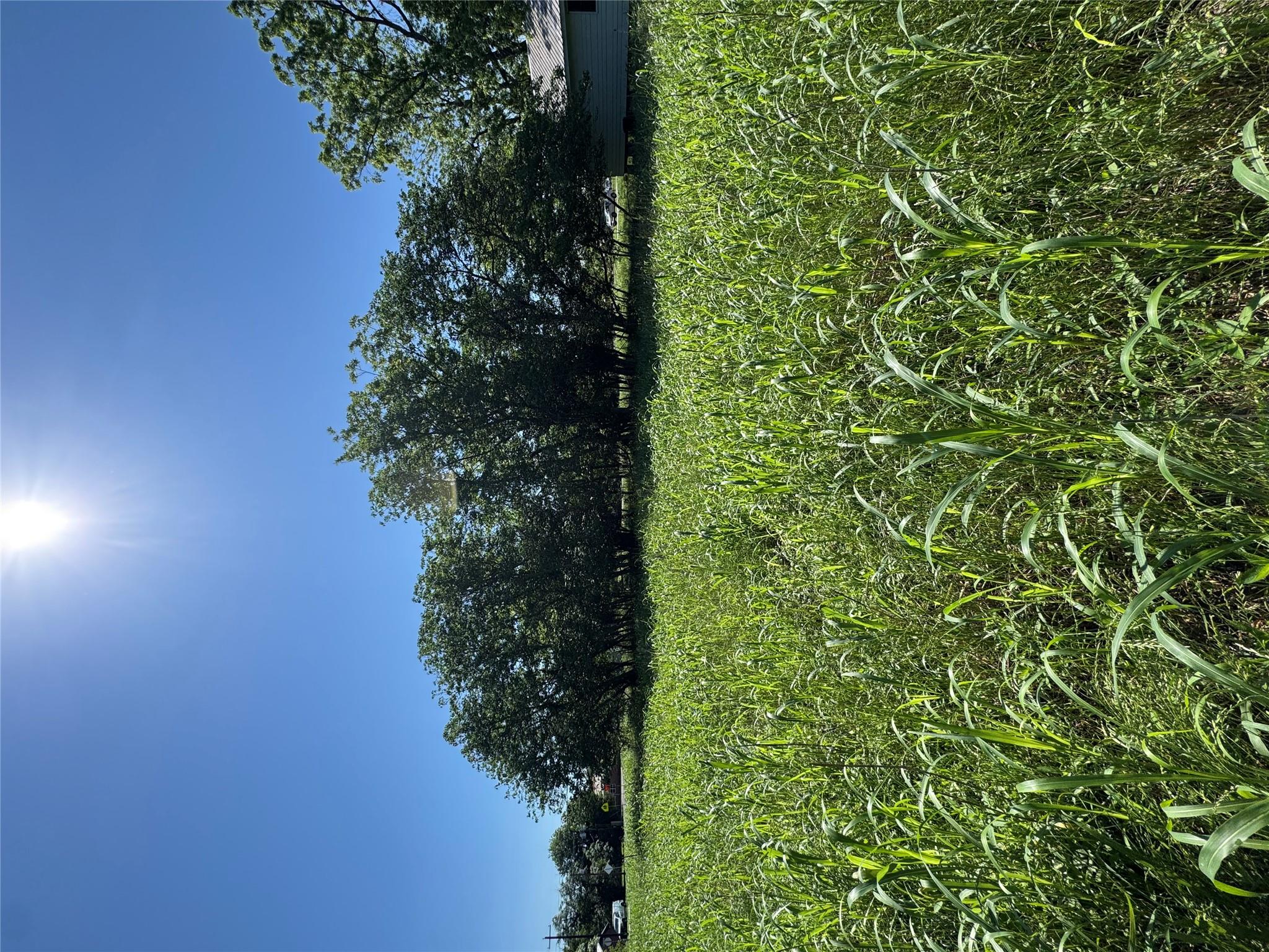 Multiple Lots (Adjacent)