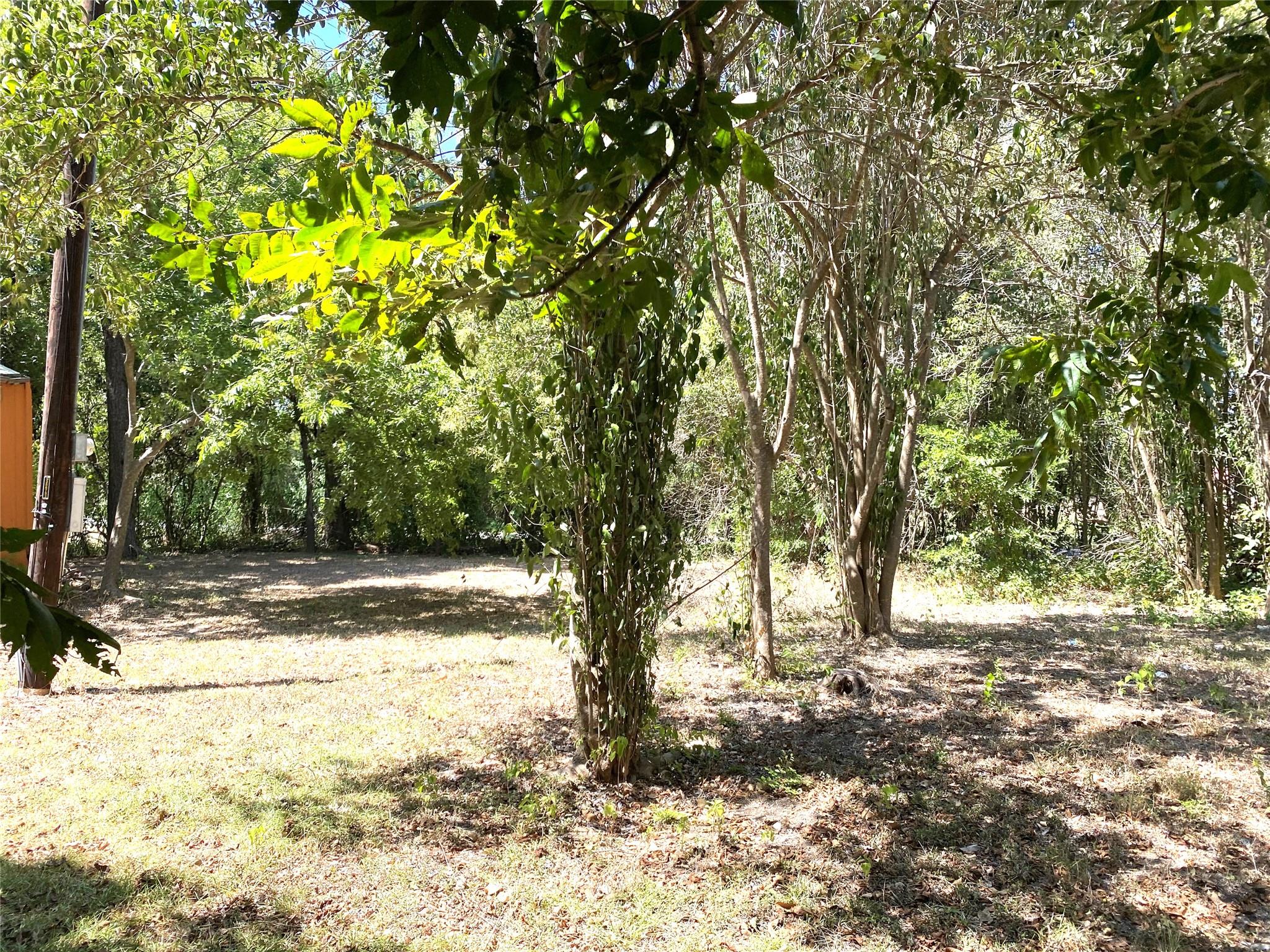 Photo 24