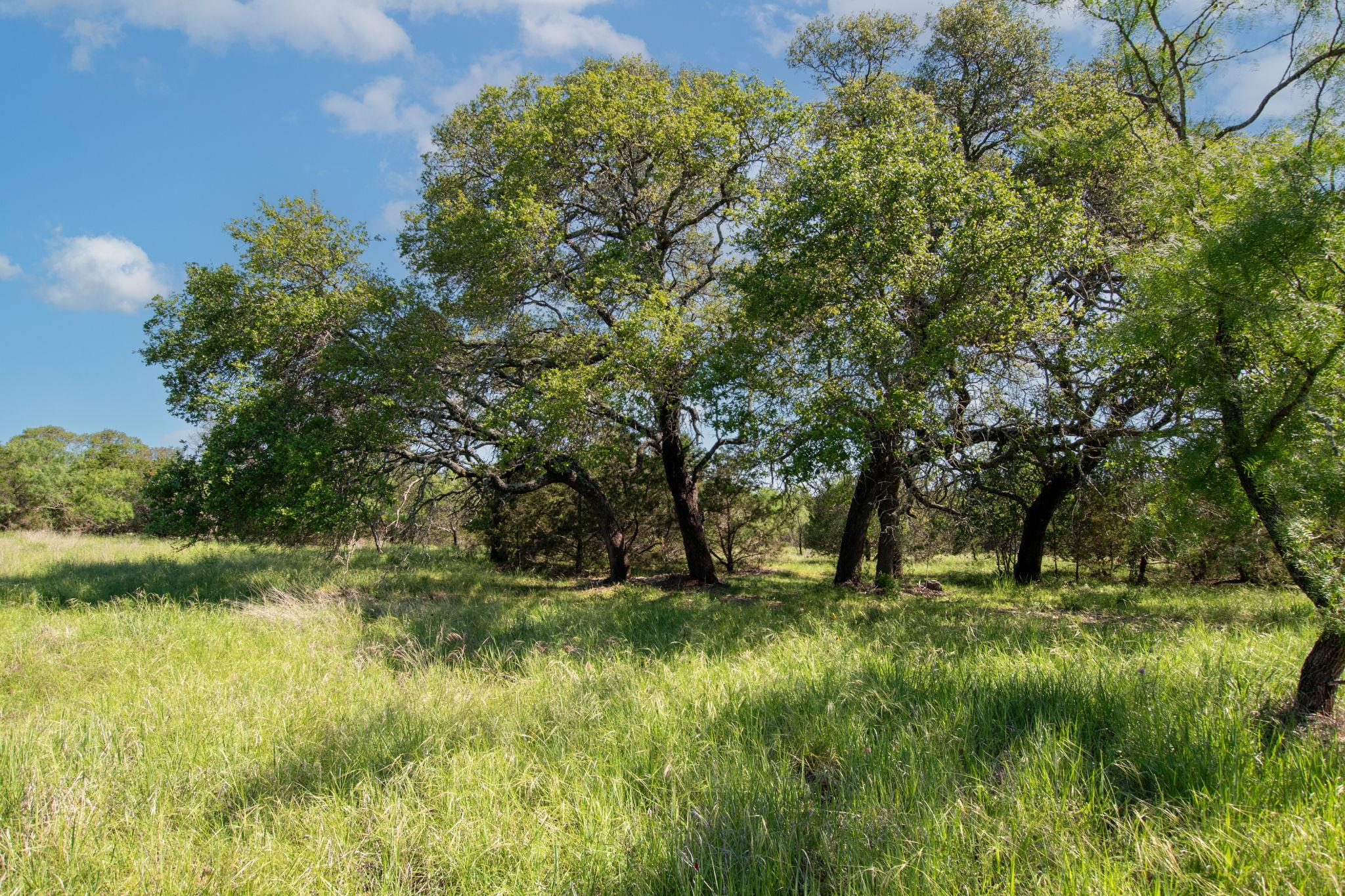 Unimproved Land