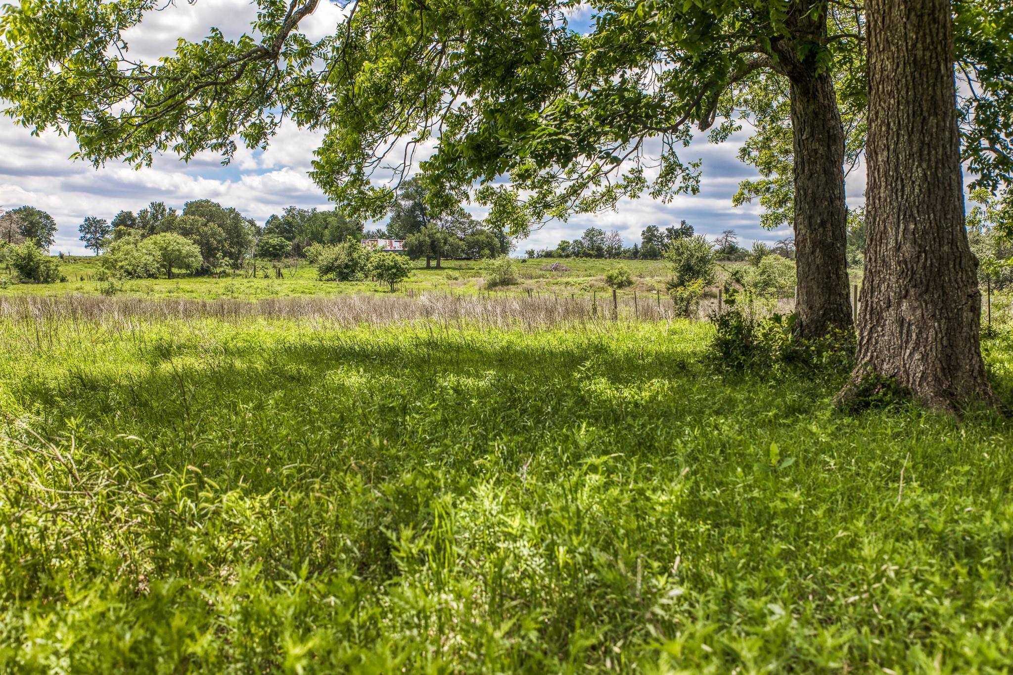 Ranch