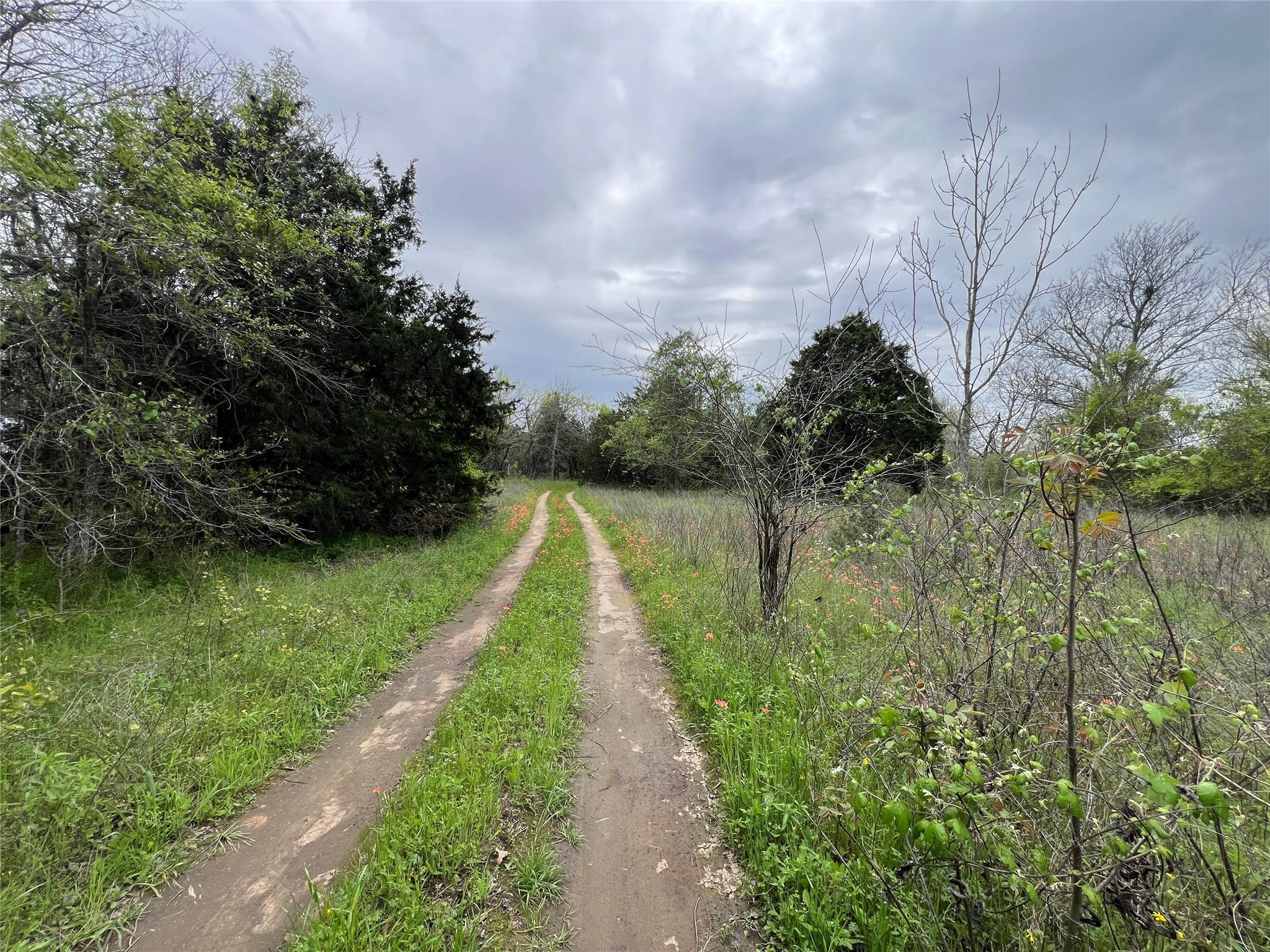 Unimproved Land