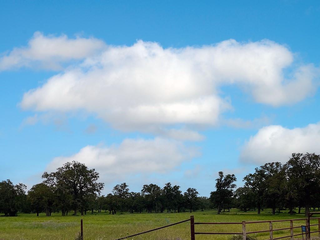 Ranch