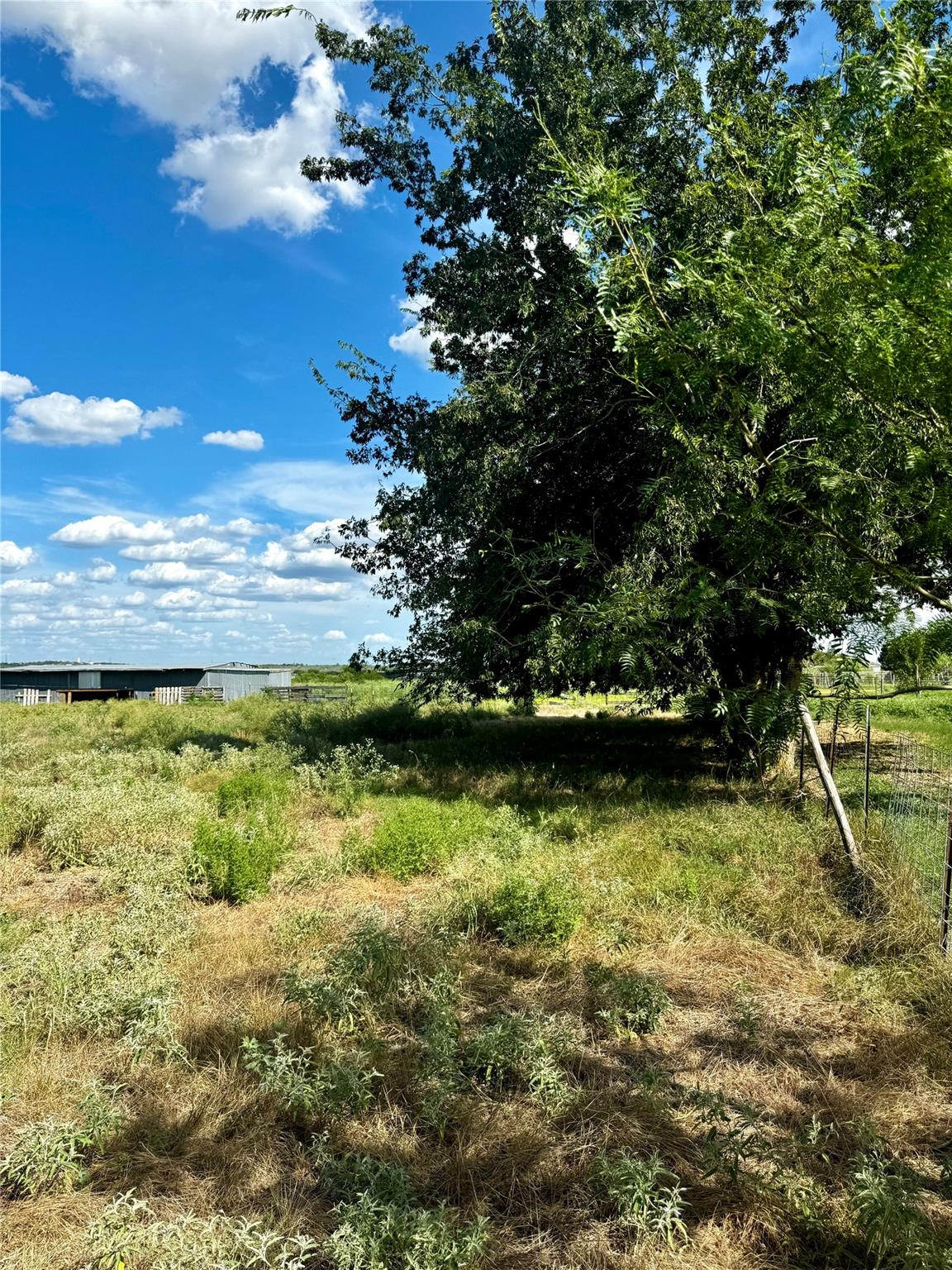 Unimproved Land