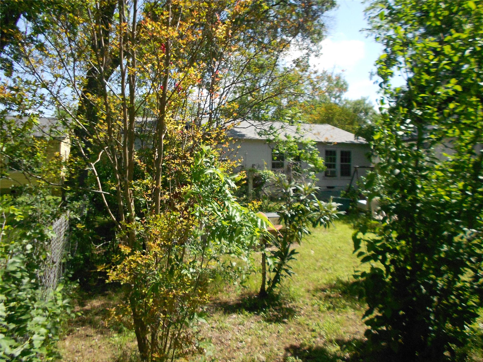 Photo 35