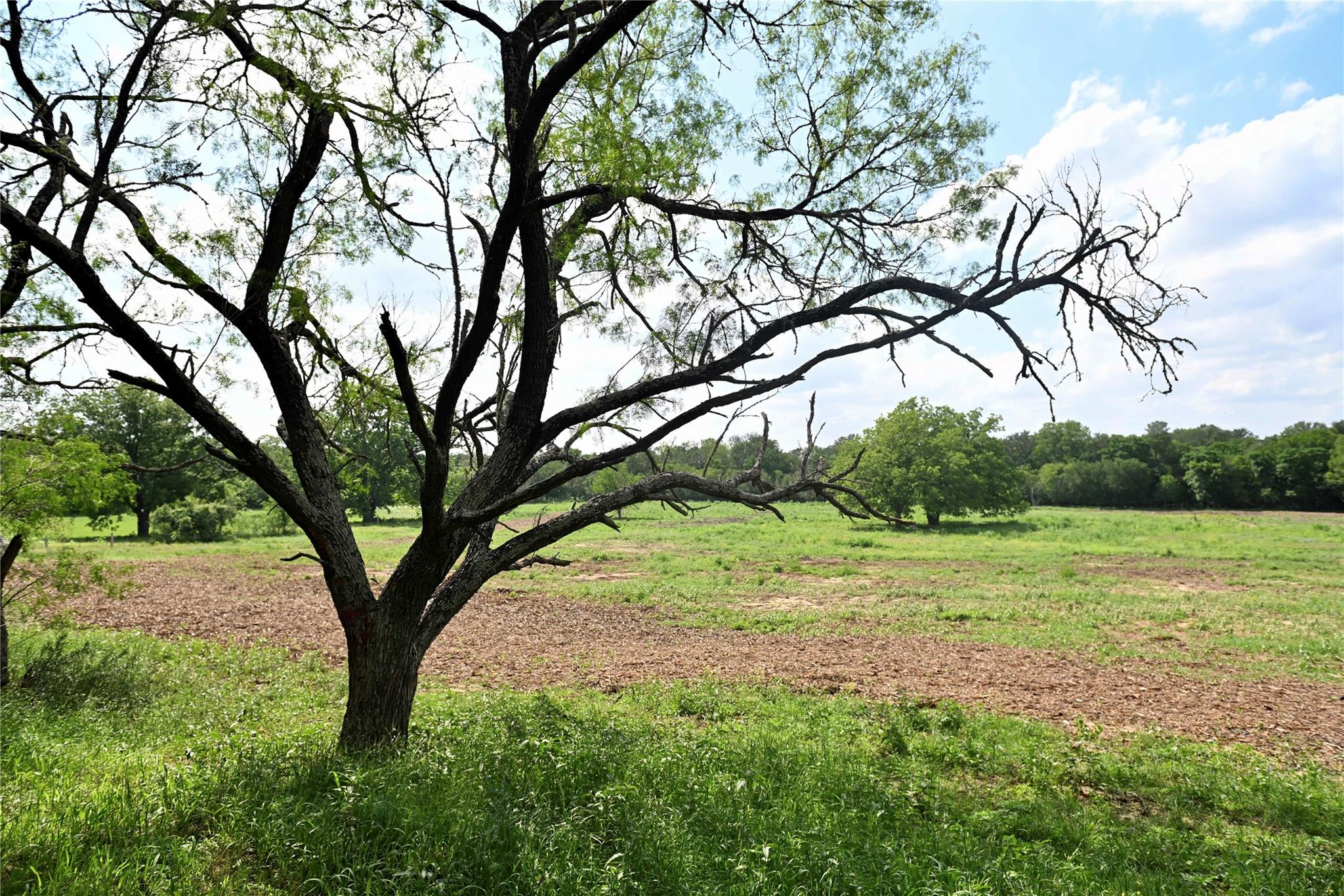 Unimproved Land