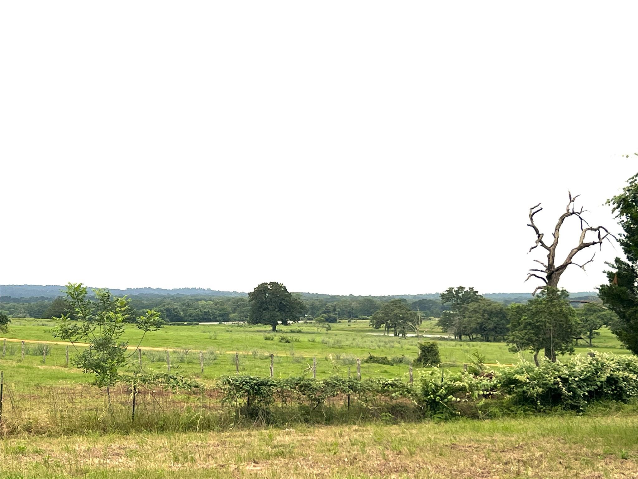 Unimproved Land