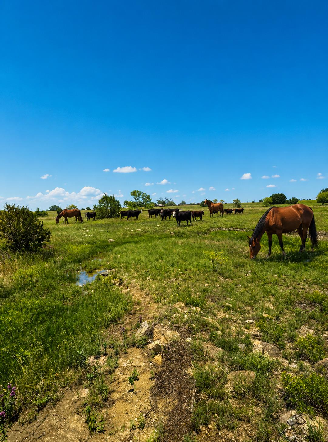 Unimproved Land