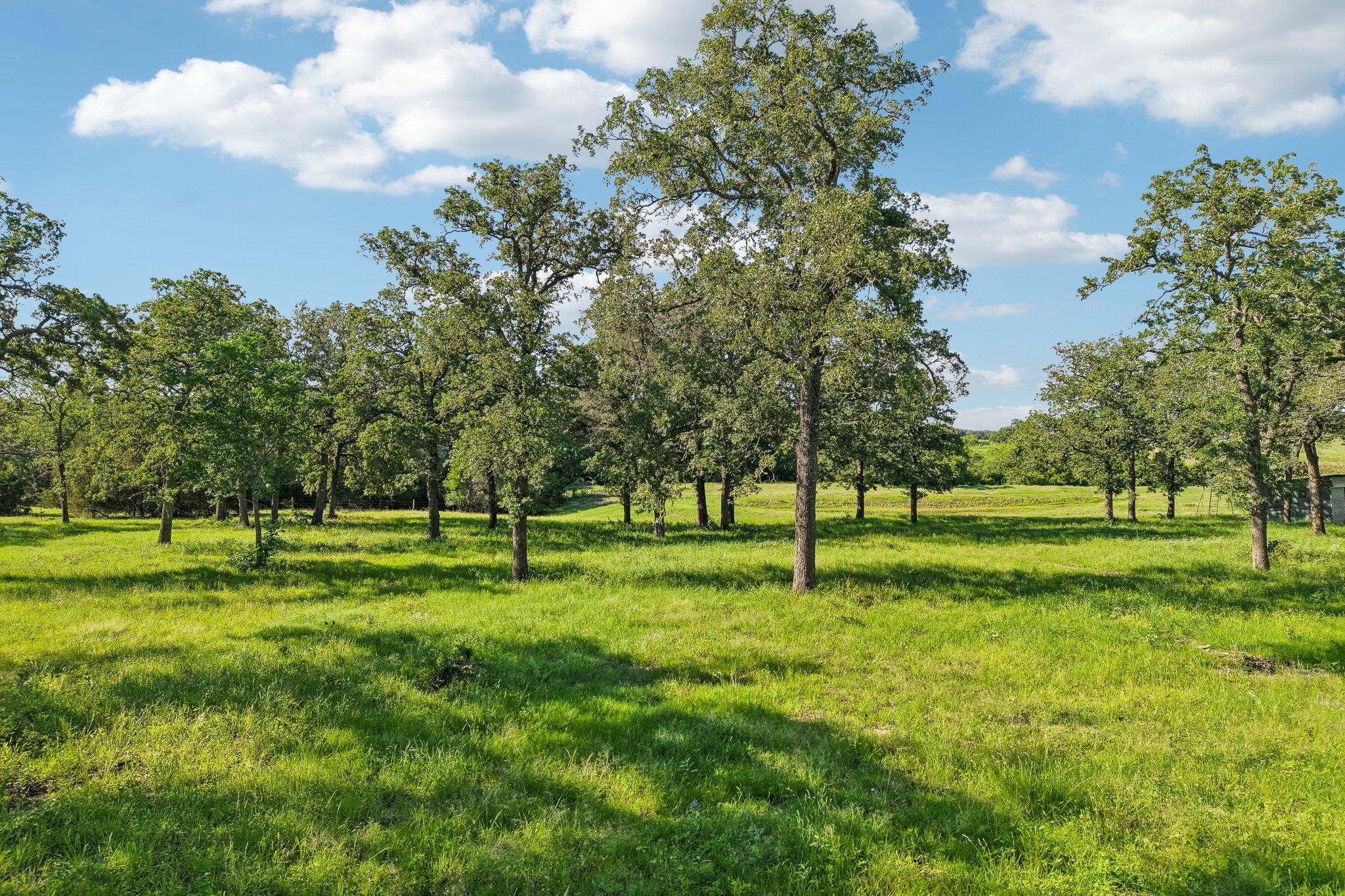 Unimproved Land