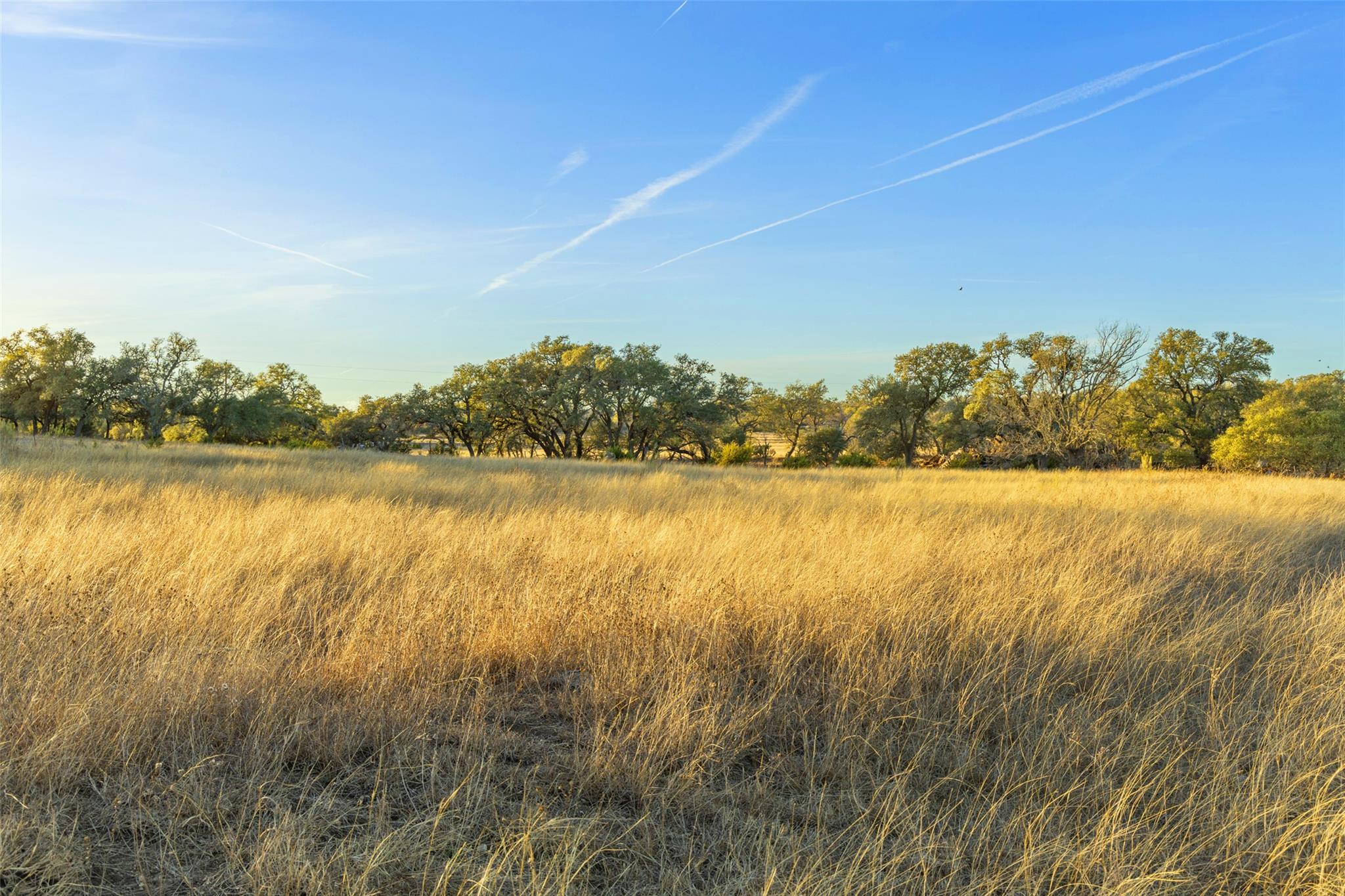 Ranch