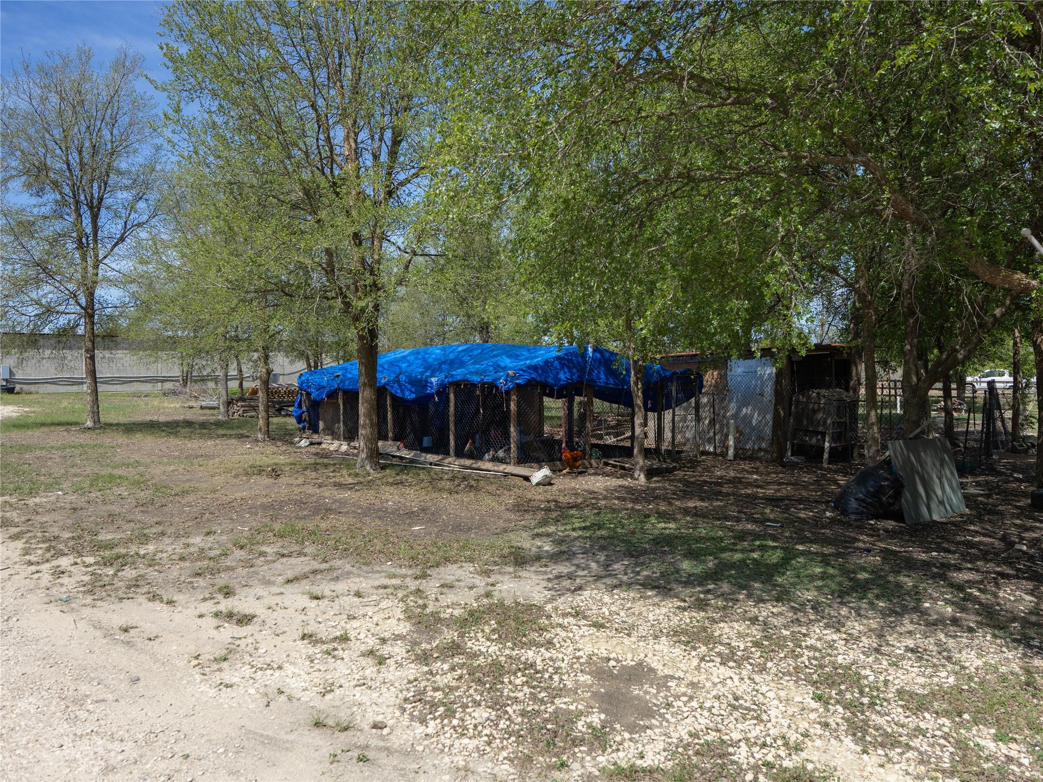 Photo 31