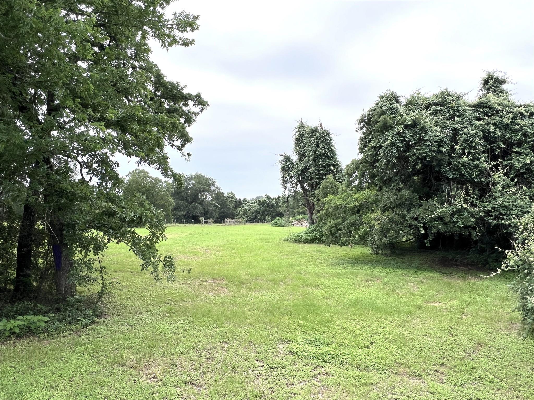 Unimproved Land