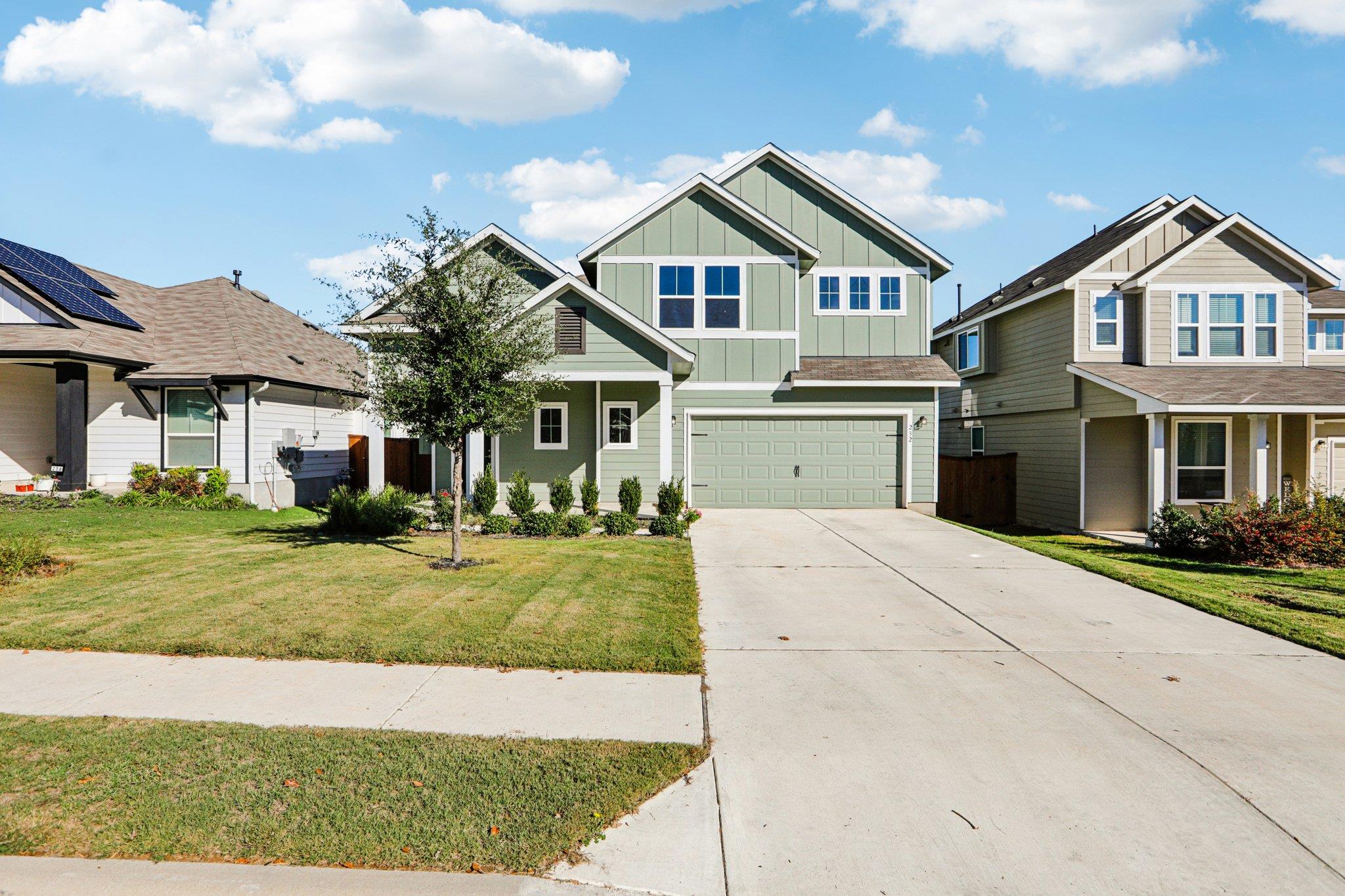 232 Wild Sage
