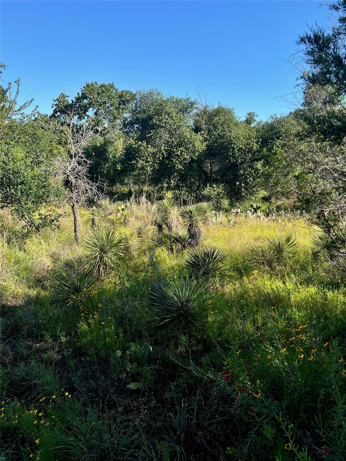 TBD Castlelake