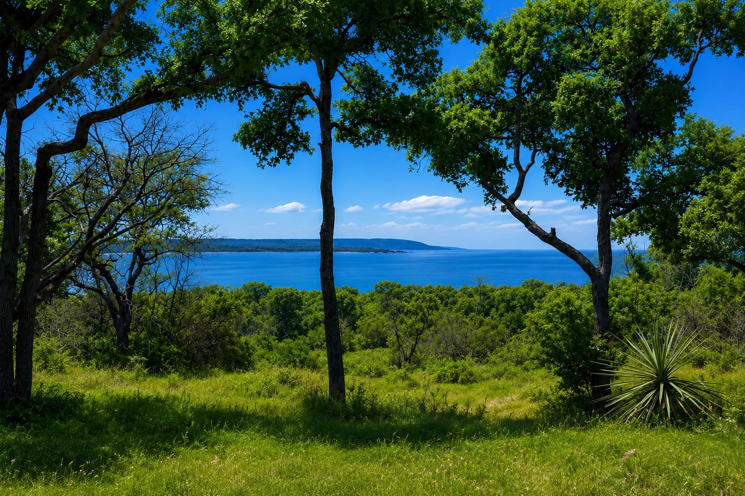 Unimproved Land