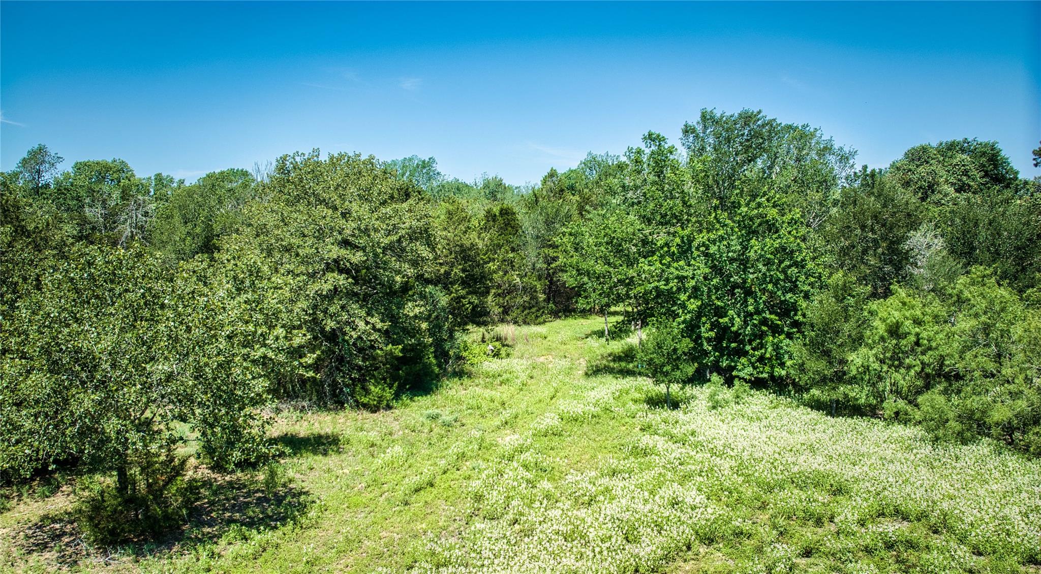 Unimproved Land