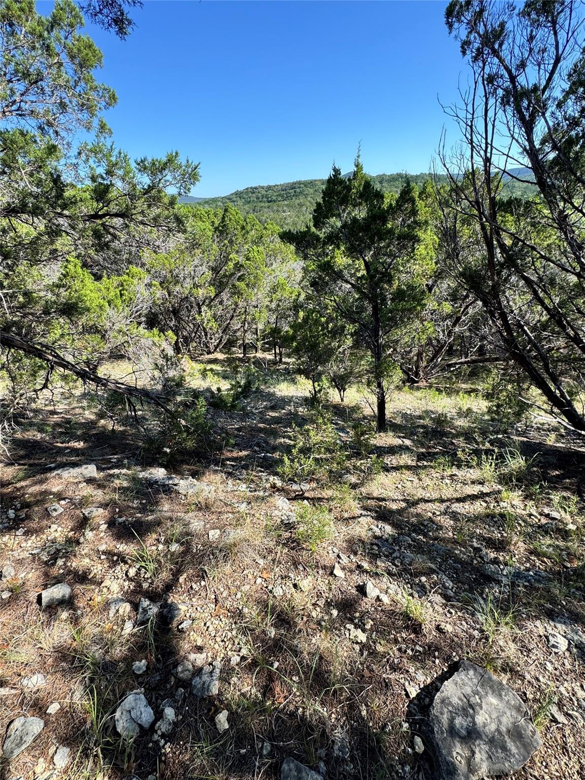 Unimproved Land