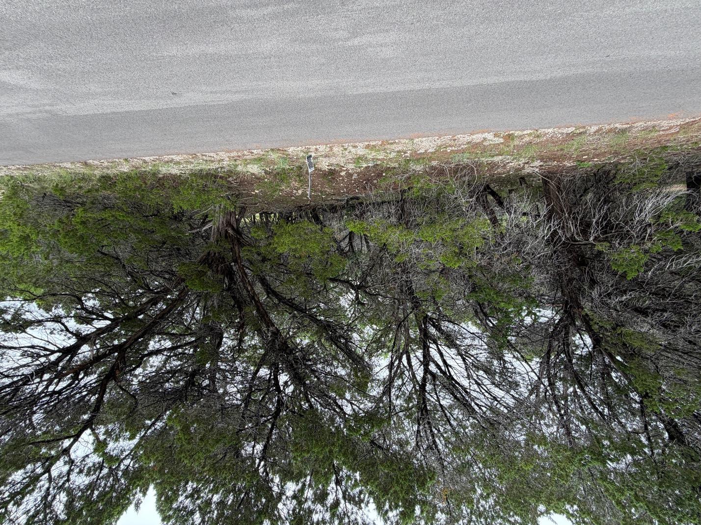 Unimproved Land