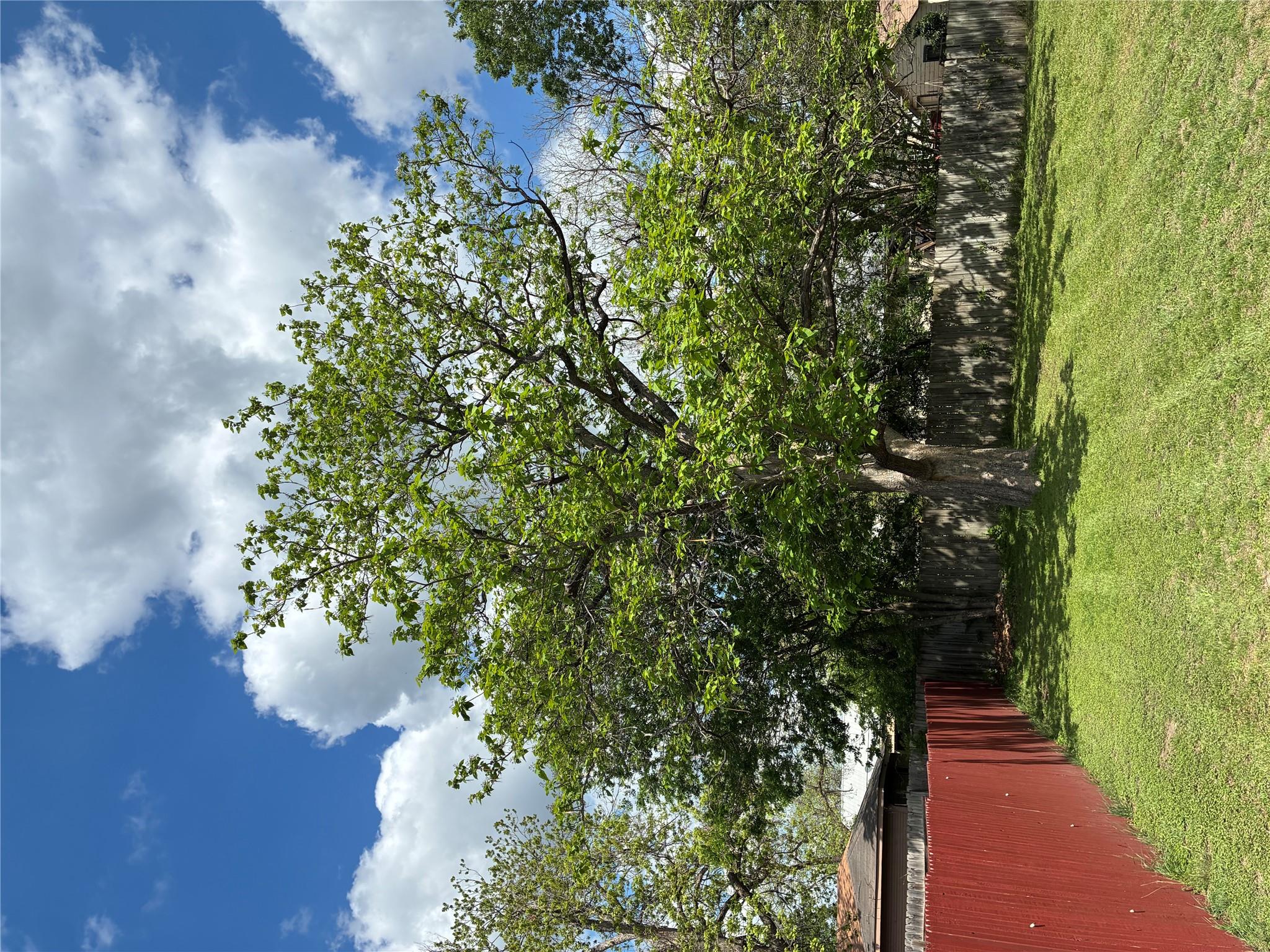 Unimproved Land