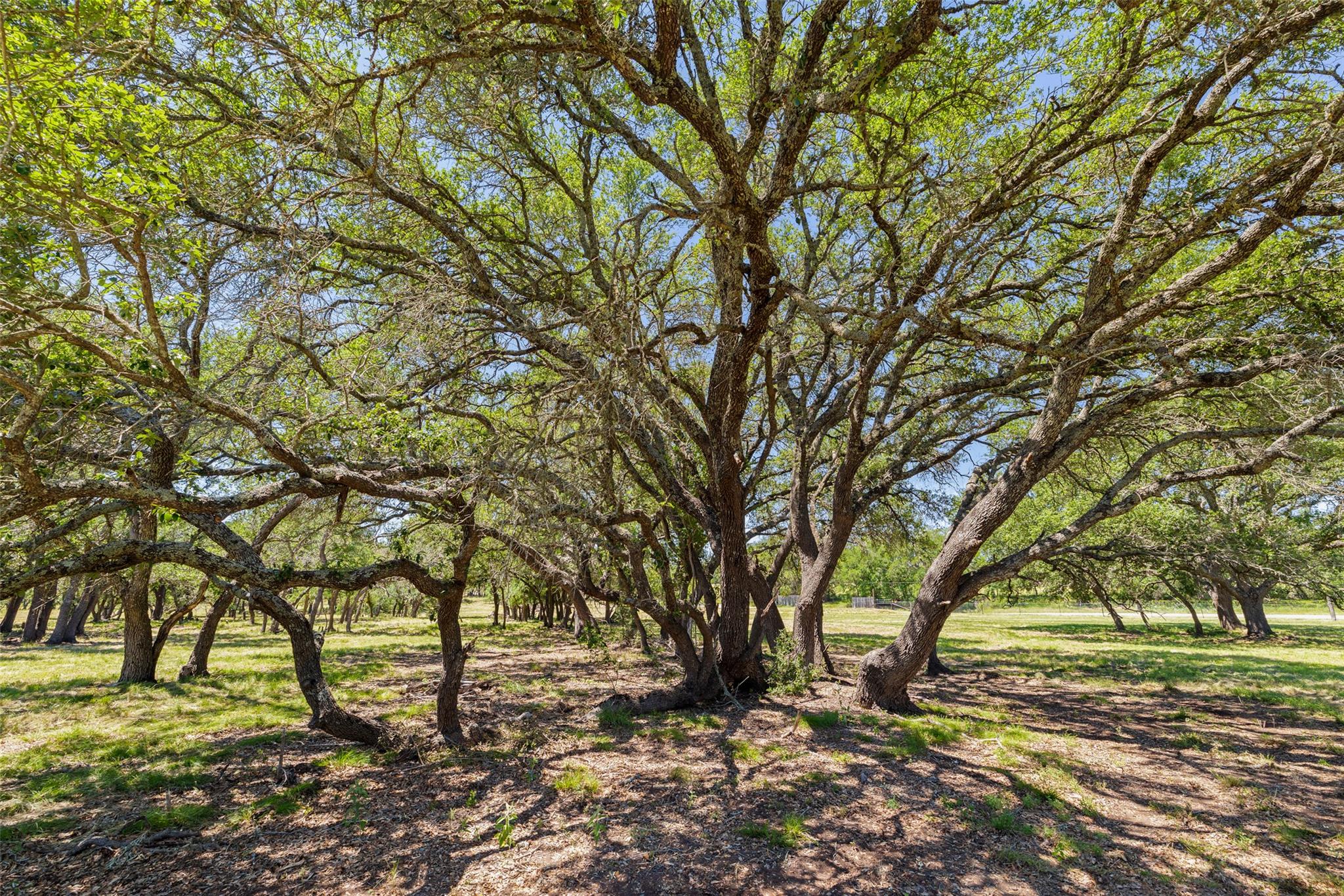 937 Flat Creek