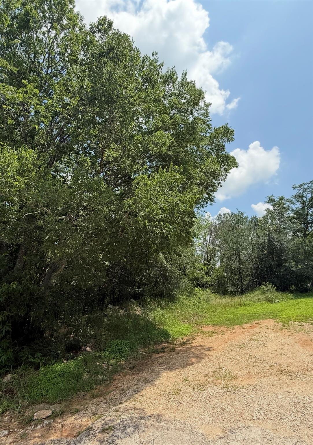 Unimproved Land