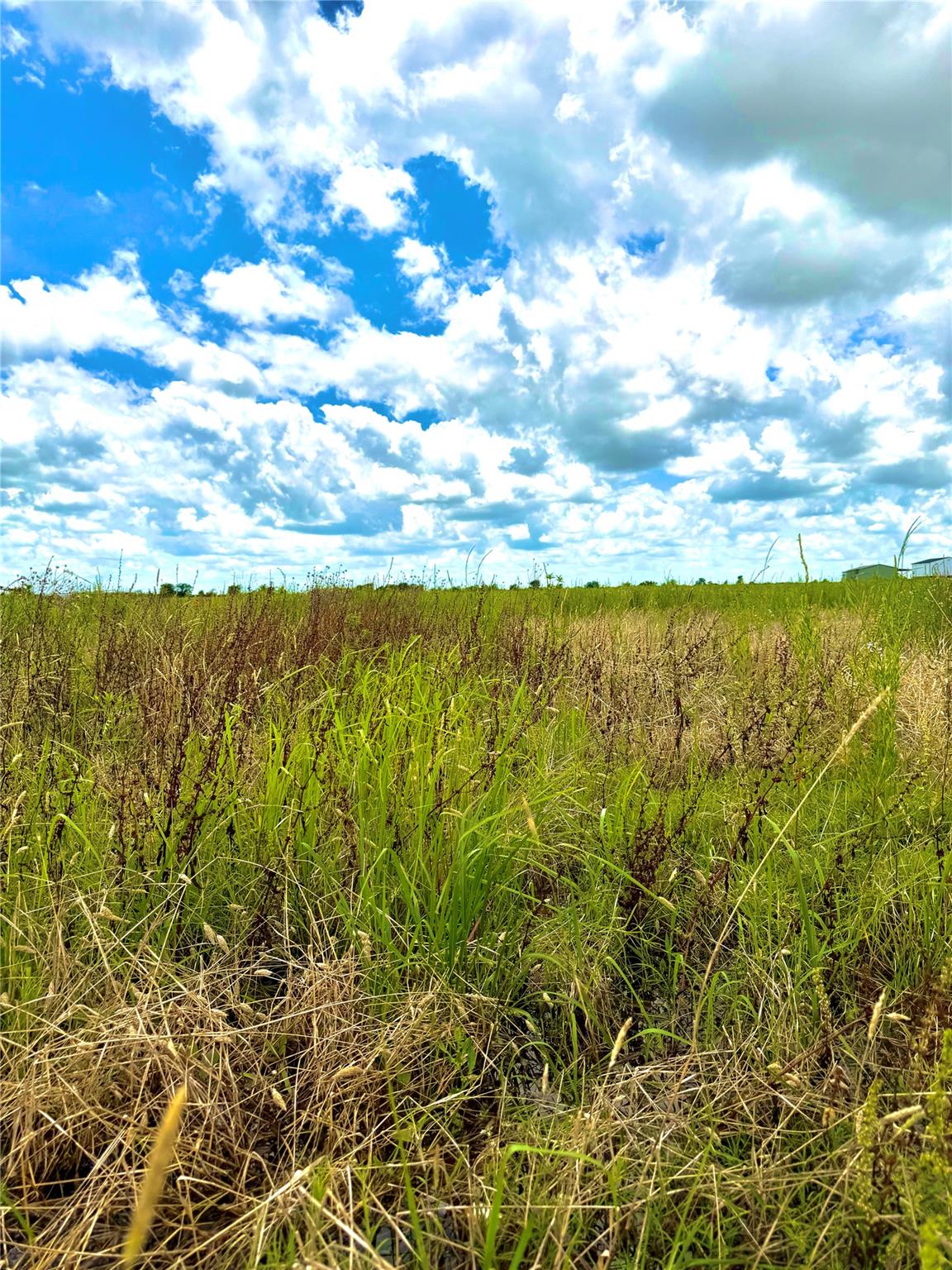 Unimproved Land