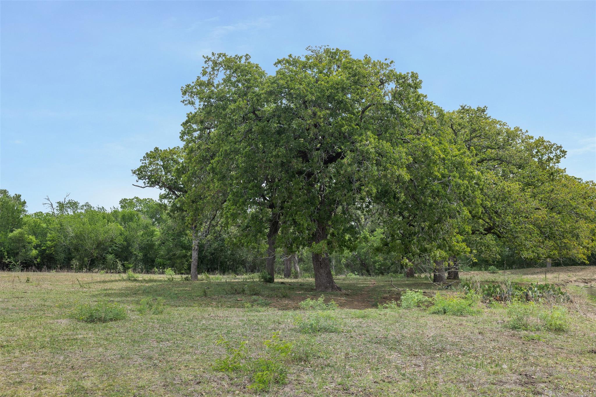 Photo 33