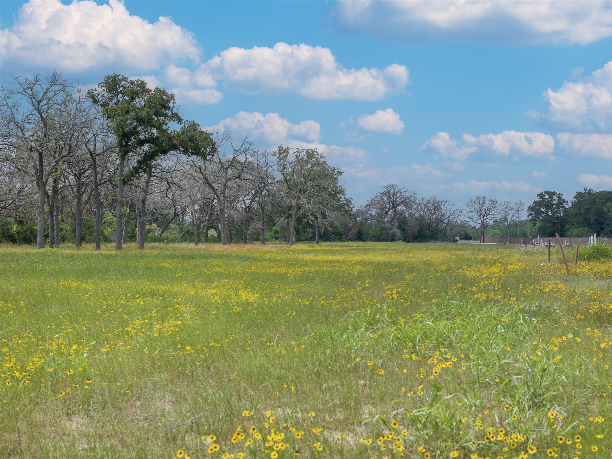 Unimproved Land