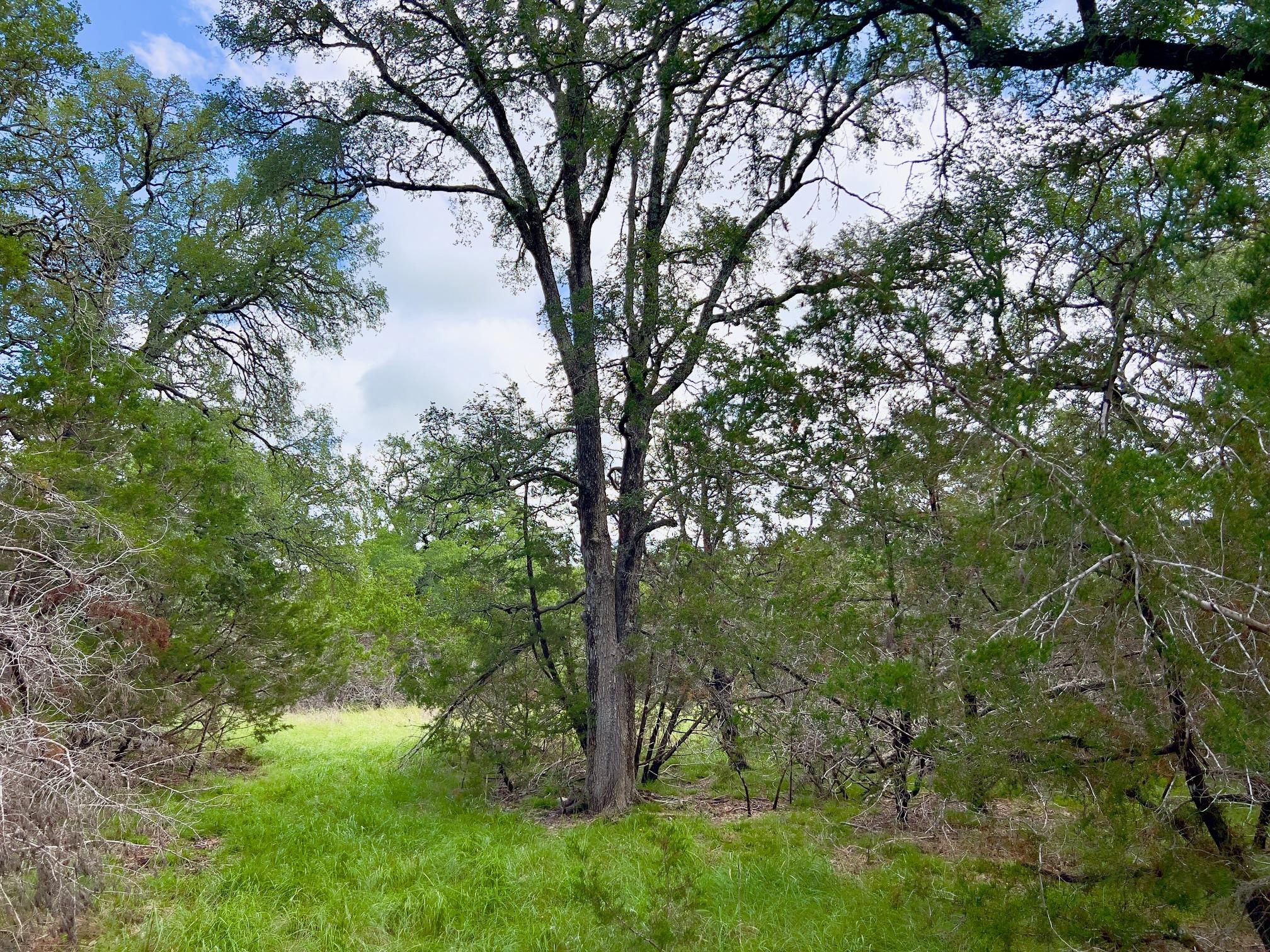 Lot 43-A Narrows