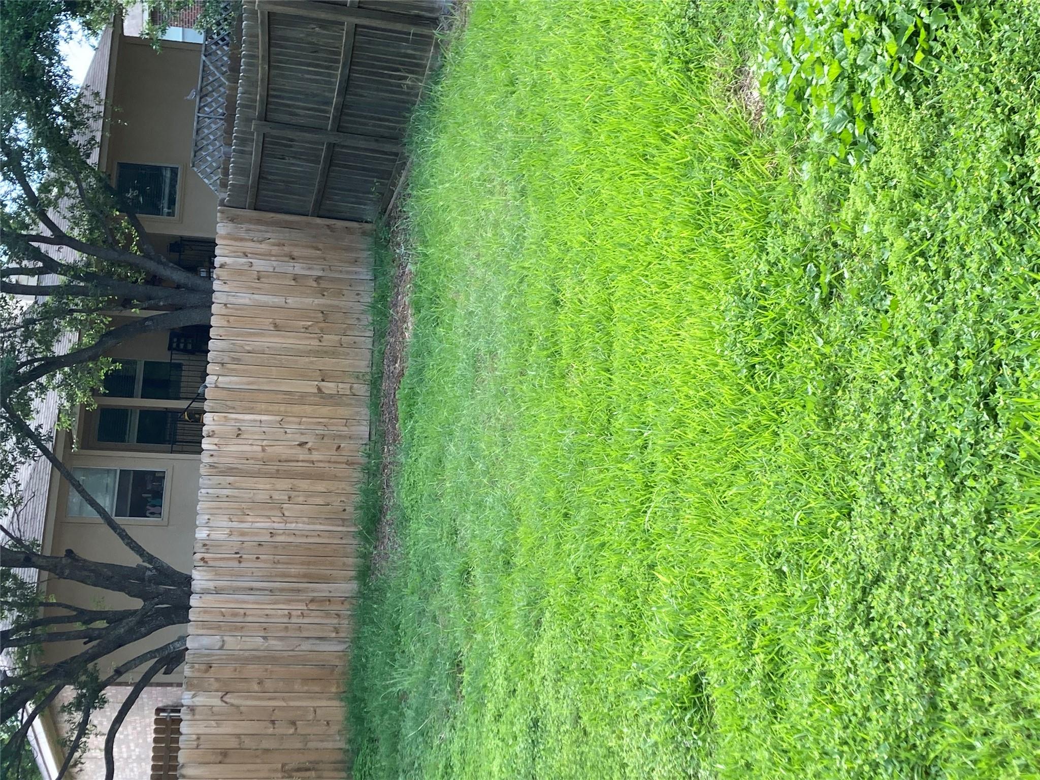 Photo 37