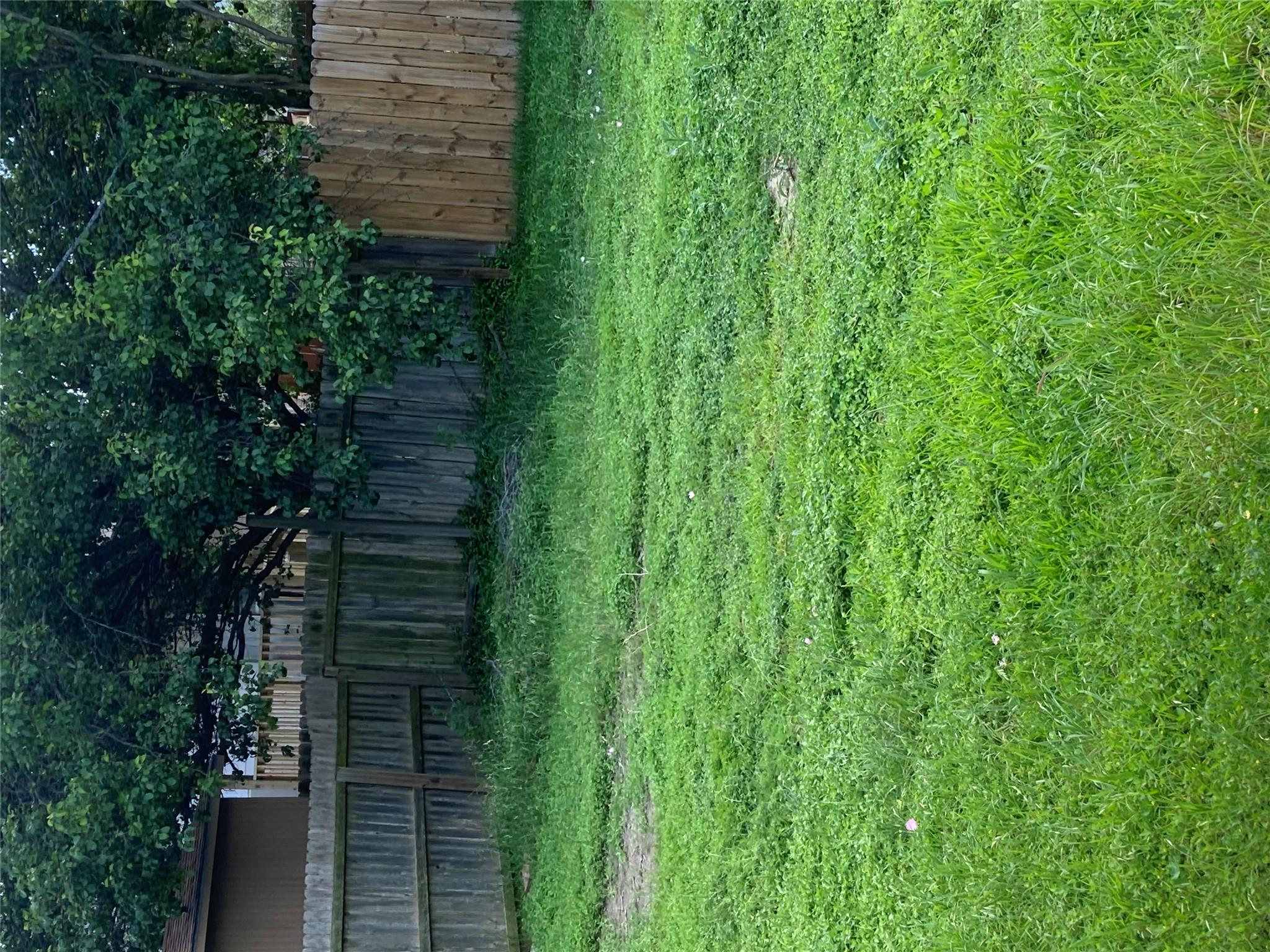Photo 38