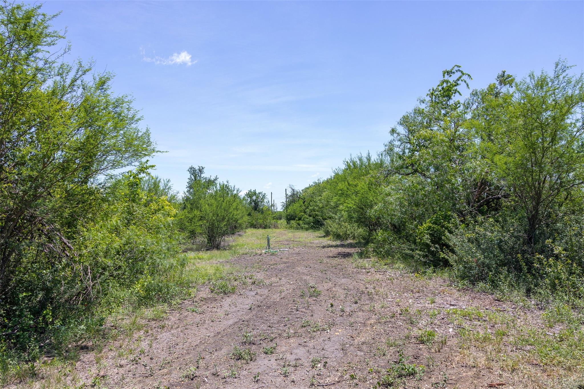 Photo 30