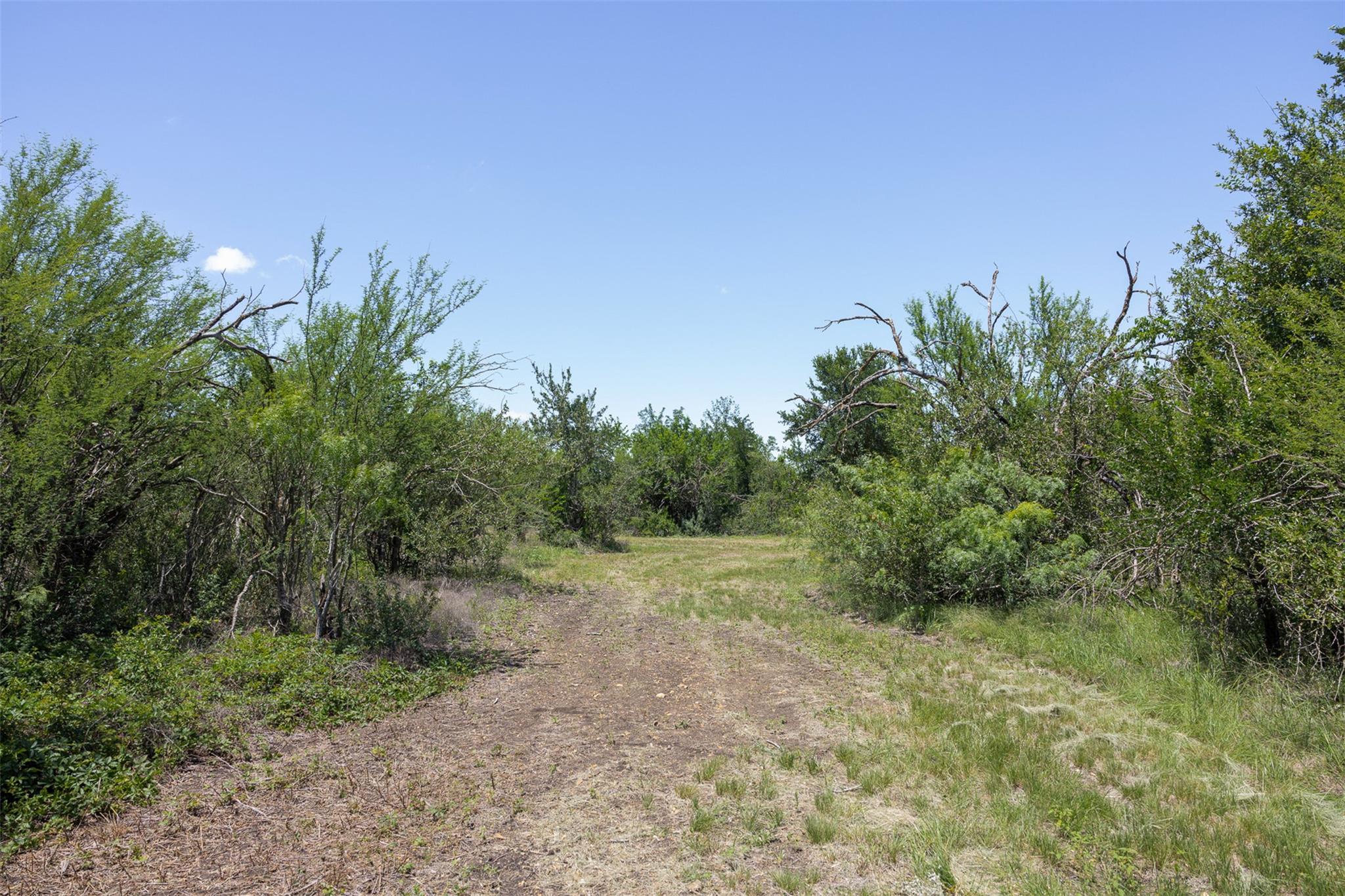 Photo 32