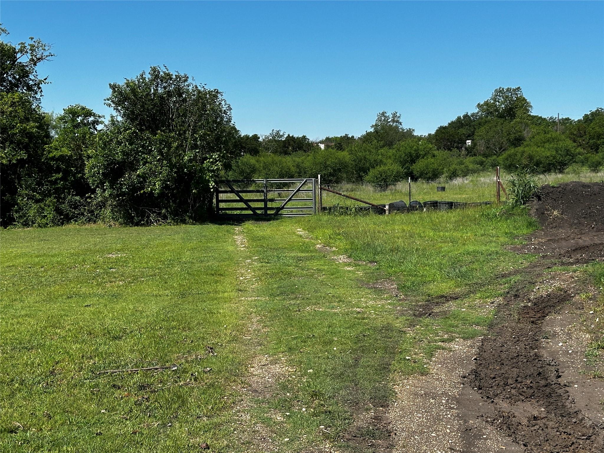 Photo 21