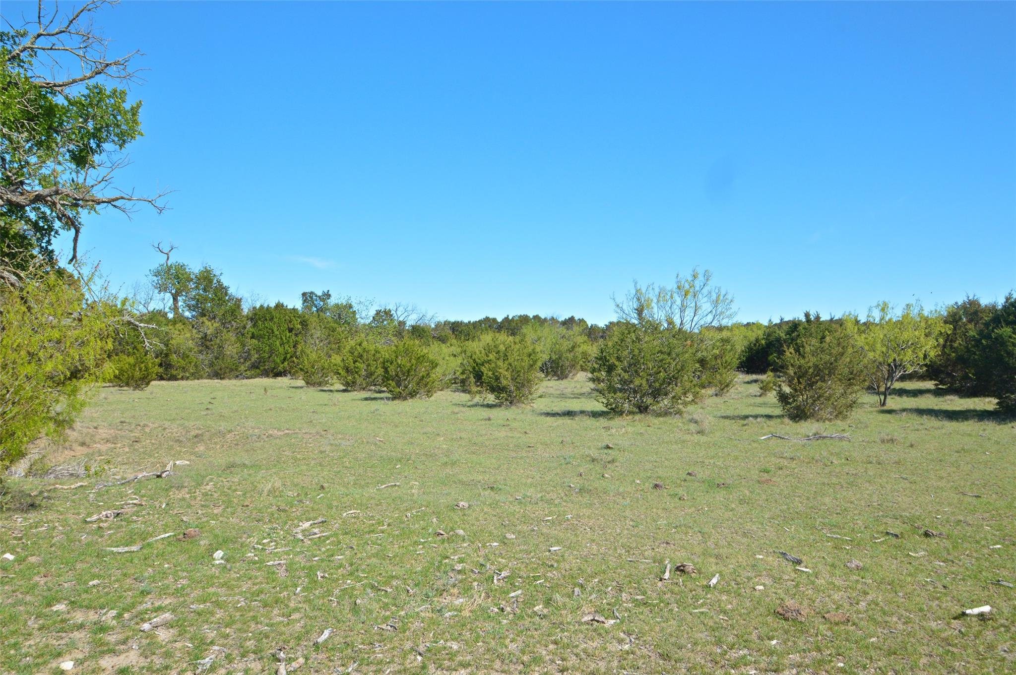 Photo 31